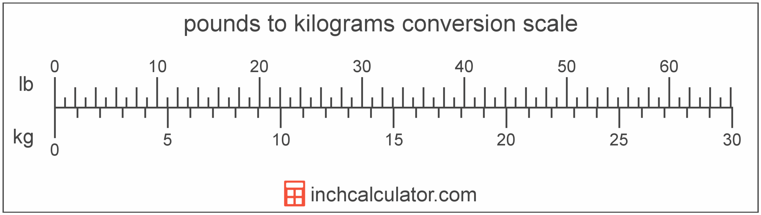 Kg To Lbs Chart Printable