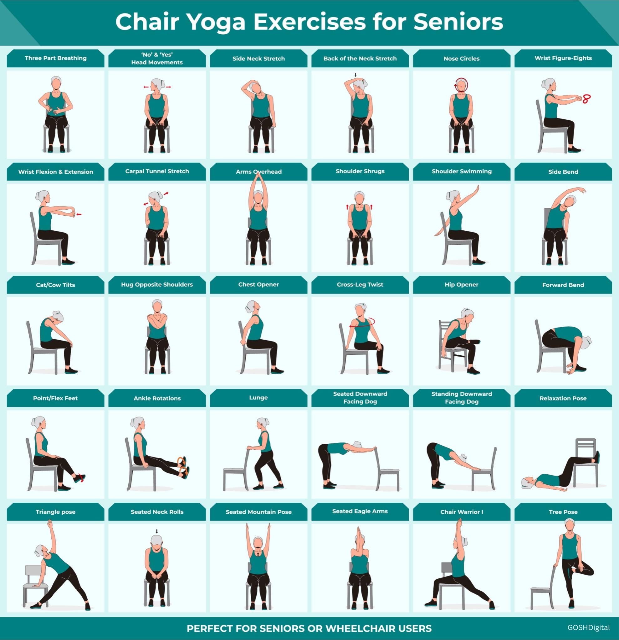 30 Chair Yoga Exercise In Our Guide For Seniors Wheelchair Users Nursing Home Balance Stability 30day Challenge Workout Physical Therapy PDF Etsy