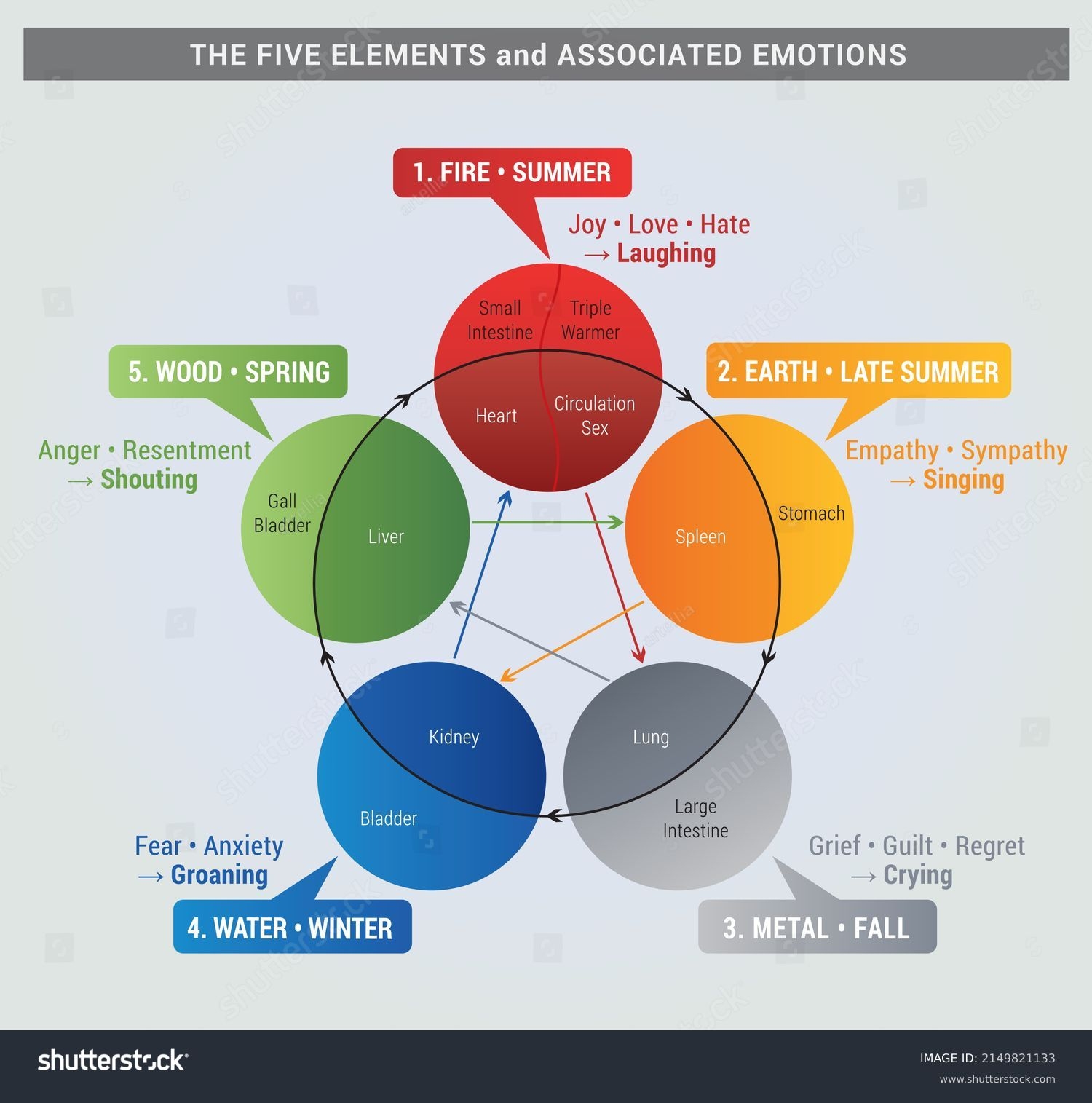 5 Elements Diagram Organs Associated Emotions Stock Vector 