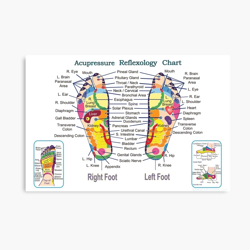 Acupressure Foot Reflexology Chart Acupressure Foot Reflexology Chart