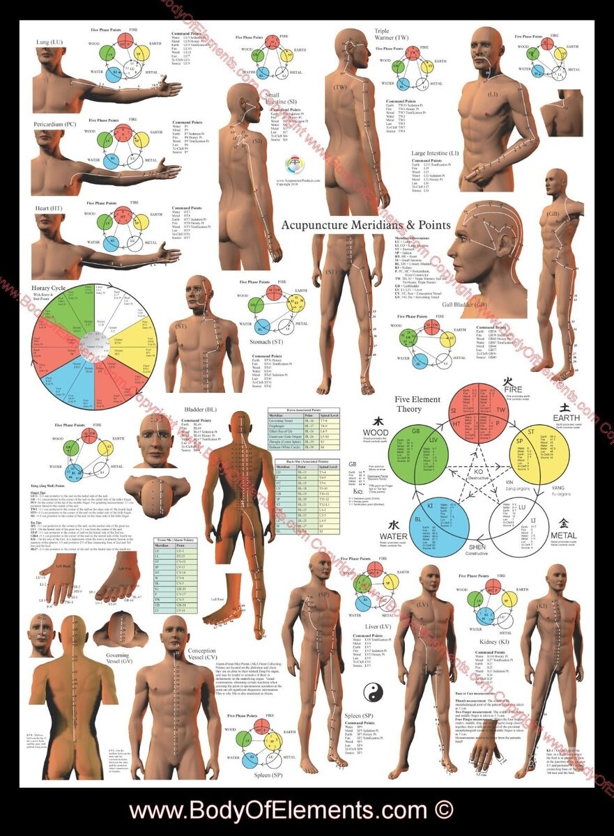 Acupuncture Meridian Points And Pathways Poster 18