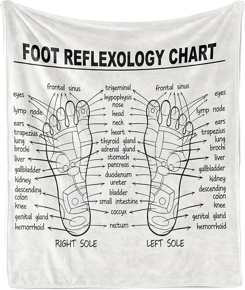 Amazon Ambesonne Human Anatomy Throw Blanket Foot 