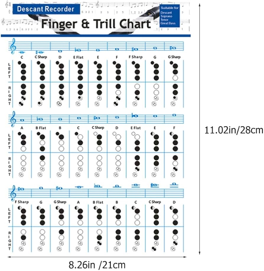 Amazon co jp SEWACC Flute Code Chart Trumpet Code Chart Finger Practice Chart Bus Recorder Code Finger Chart Exercise Finger Chart Flute Code Chart Base Practice Supplies Musical Instruments Amazon co jp SEWACC Flute Code Chart Trumpet Code Chart Finger Practice Chart Bus Recorder Code Finger Chart Exercise Finger Chart Flute Code Chart Base Practice Supplies Musical Instruments
