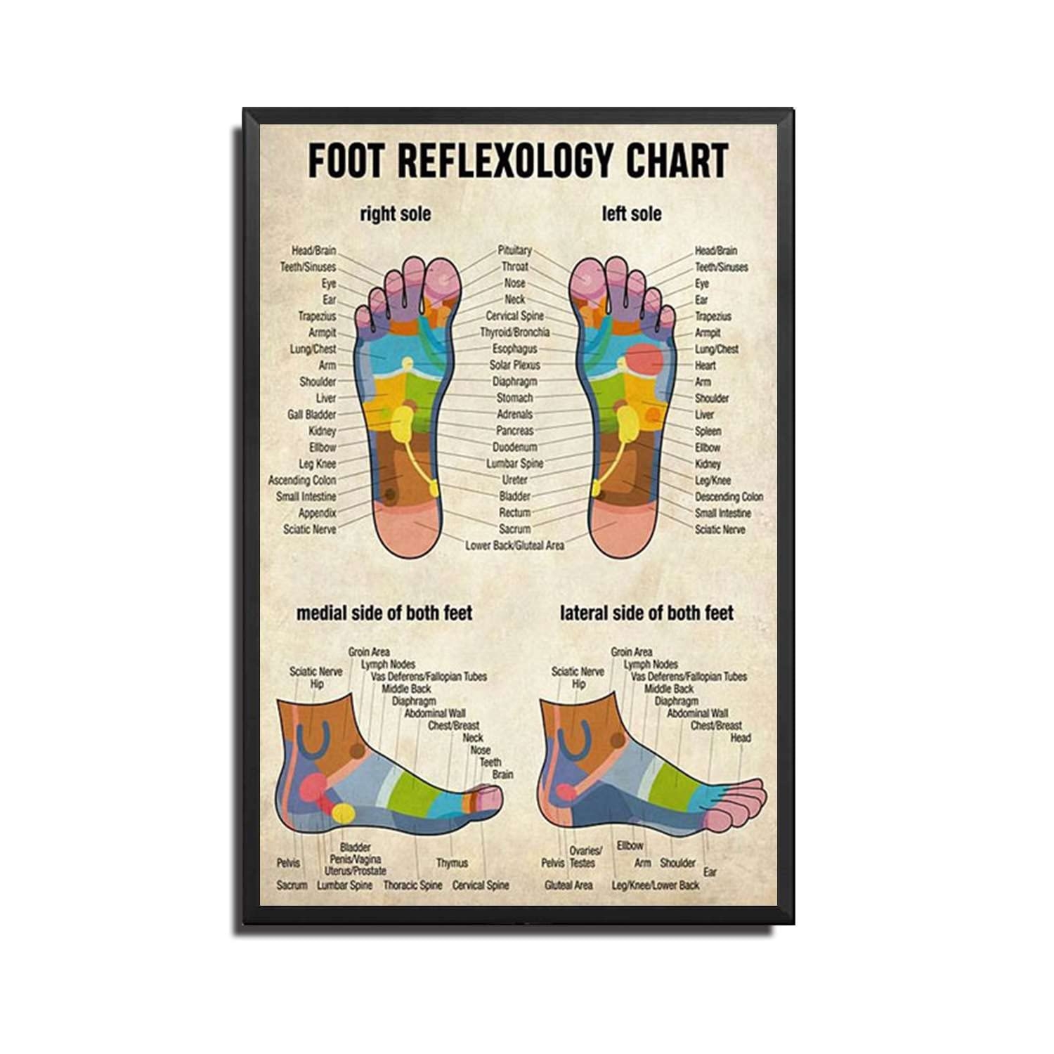 Printable Foot Reflexology Chart
