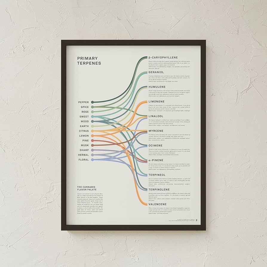 Amazon Goldleaf Primary Terpenes Art Print The Cannabis 