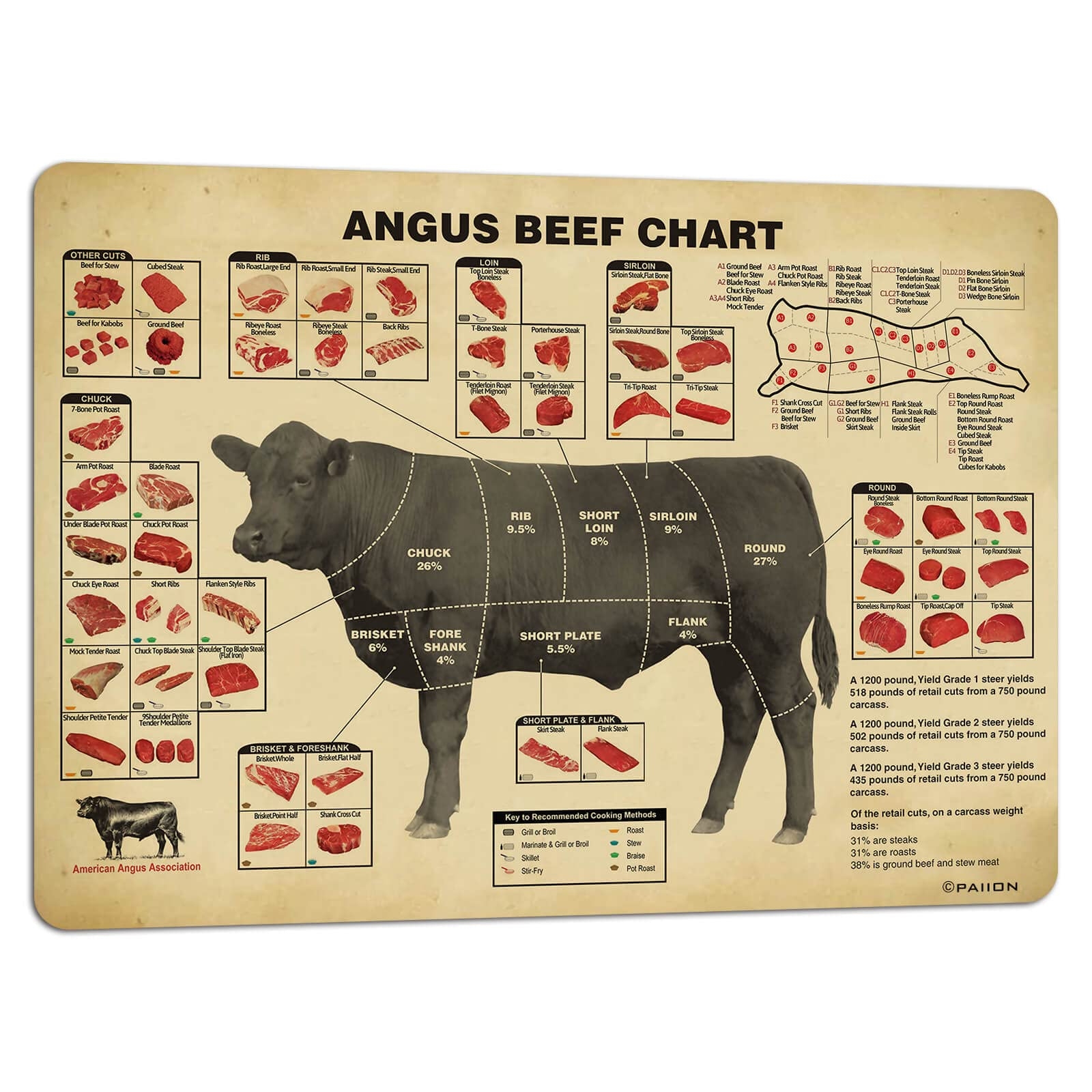 Amazon PAIION Vintage Beef Butcher Guide Poster Food Wall Art Of Beef Cuts Division Chart Meat Art Prints Food Picture Decor Kitchen Modern 