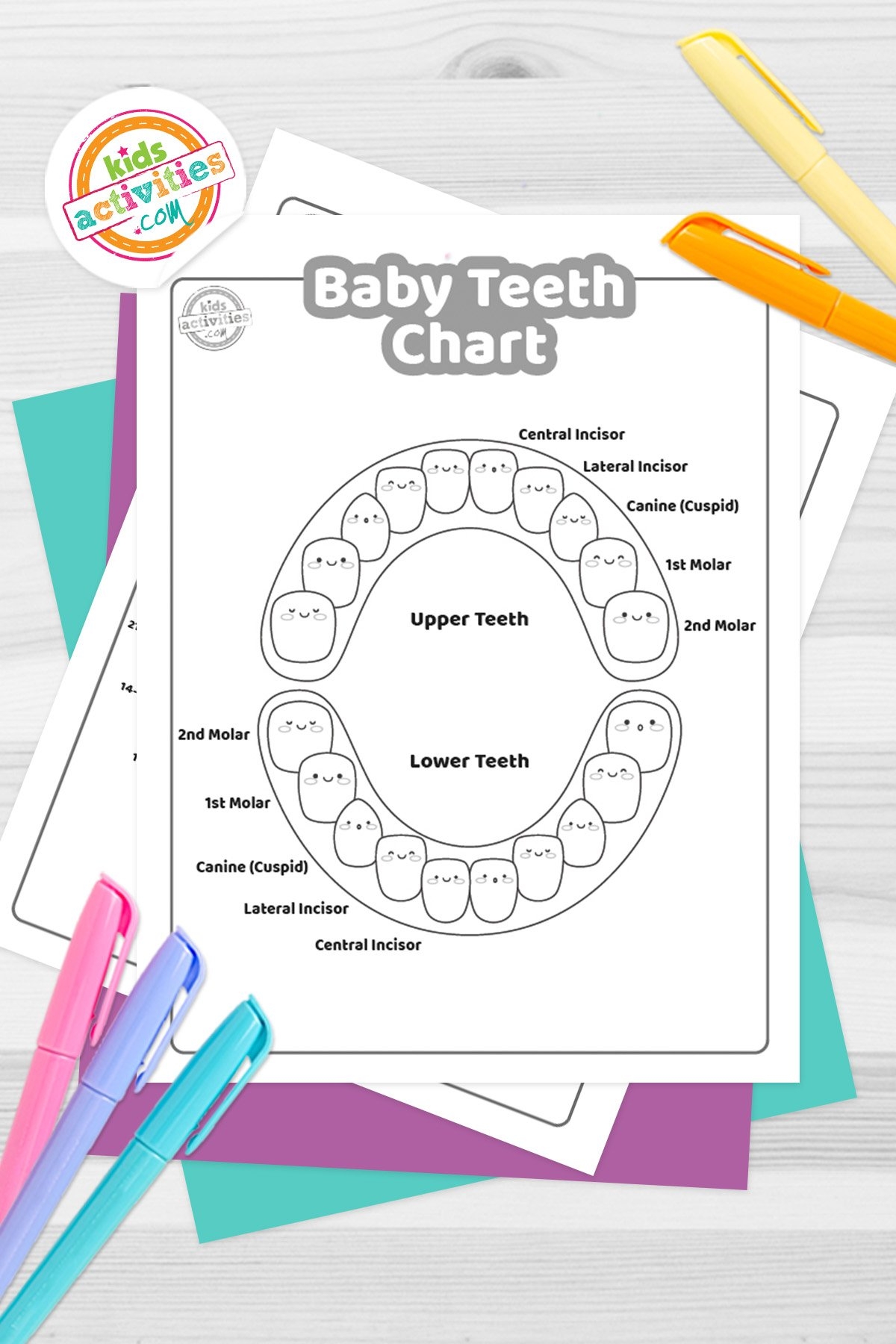 Printable Teeth Chart