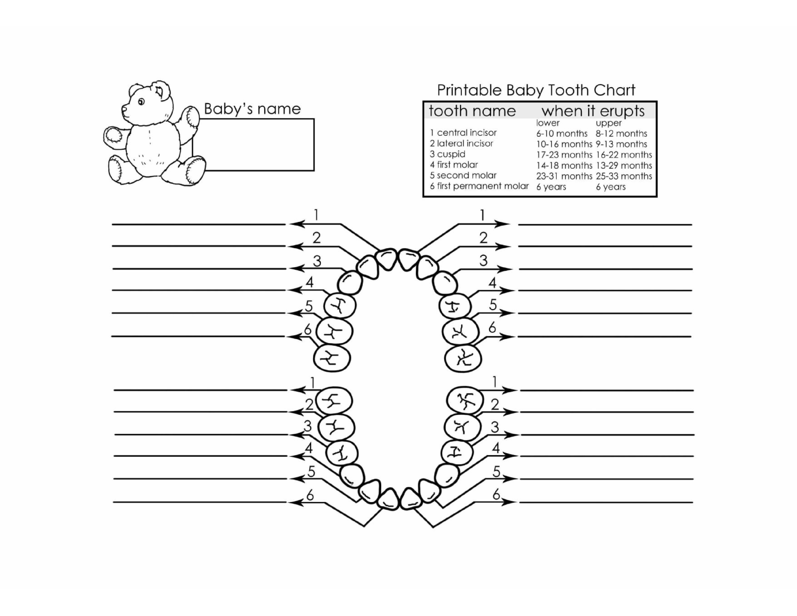 Printable Teething Chart