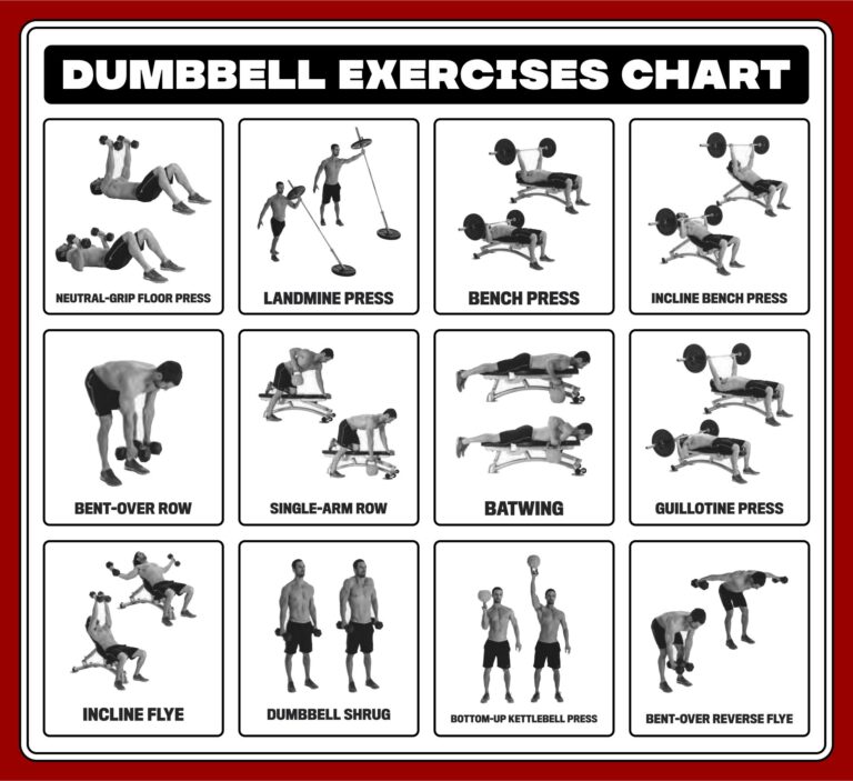 Bowflex Poweshot Dumbbell Official Workout