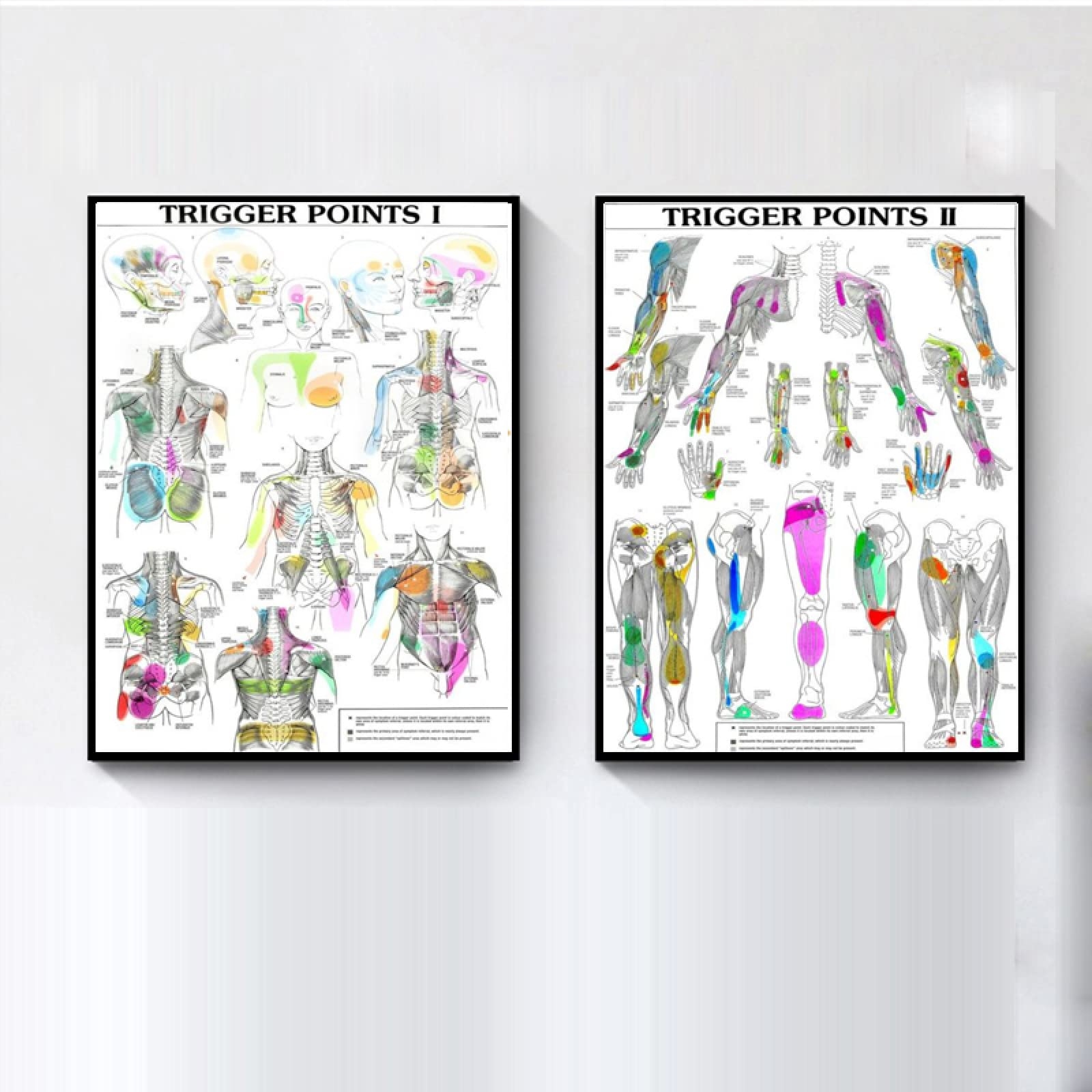 BYHGFDHJFZ Trigger Points Chart Informational Anatomy Poster Medical Canvas Painting Wall Art Picture Print Office Decor 42x60cmx2 Unframed Amazon ca Home