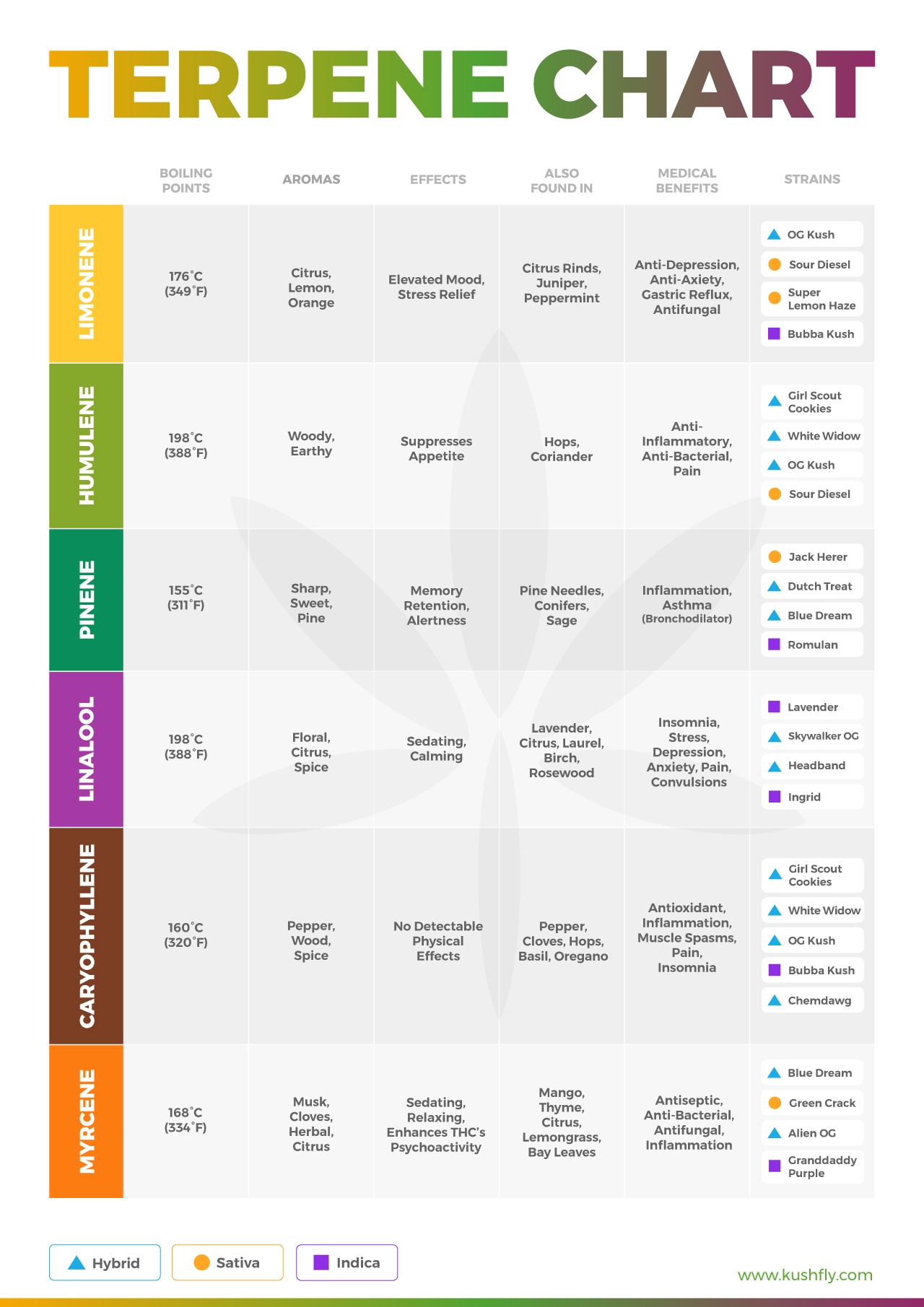 Cannabis Terpenes Effects Guide Terpene Chart 