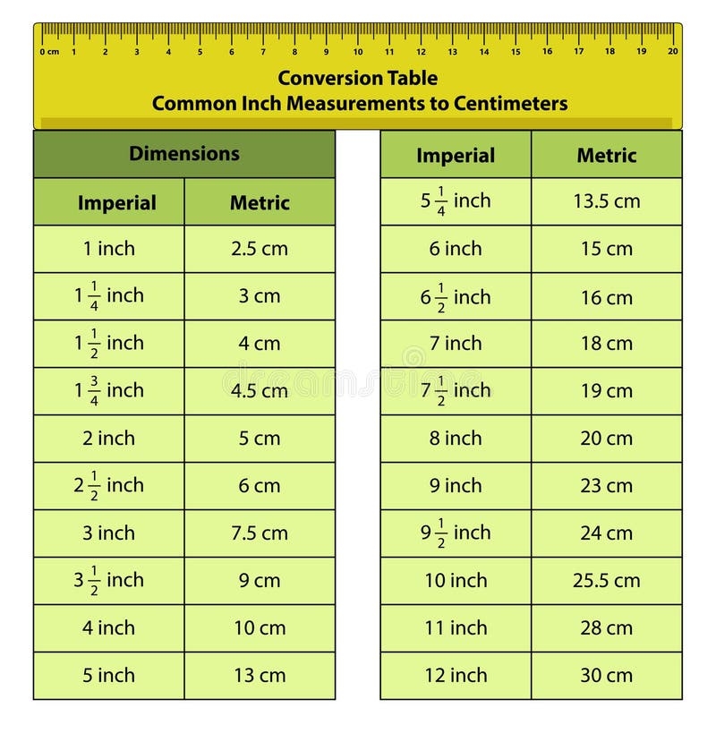 Cm To Inches Chart Stock Illustrations 5 Cm To Inches Chart 
