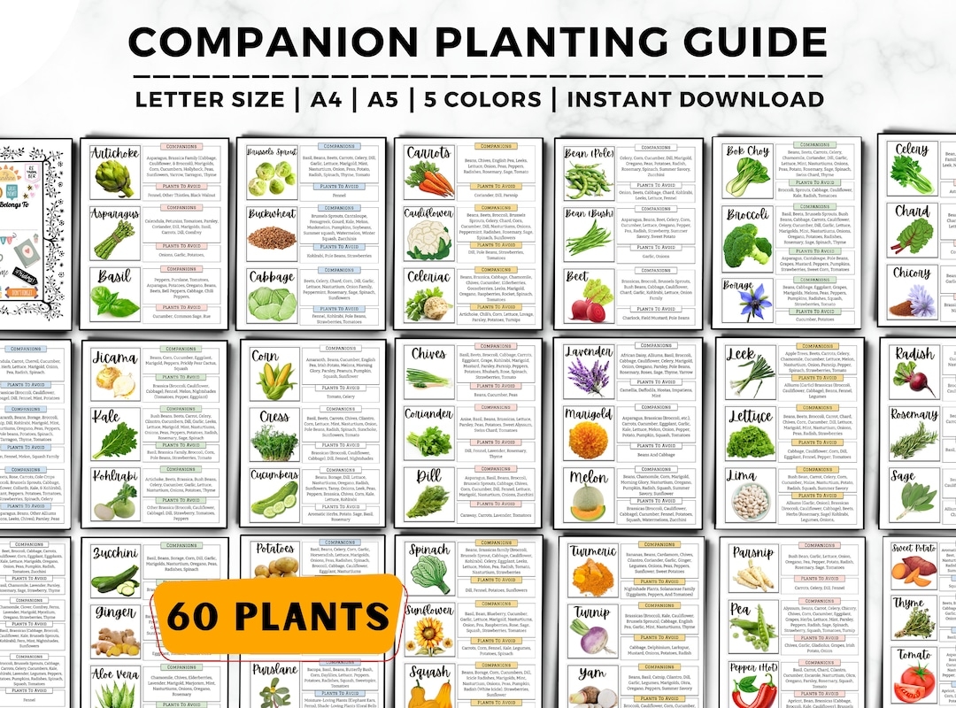 Companion Planting Guide Garden Planner Companion Plant Garden Journal Garden Planning Chart Garden Organizer Companion Planting Chart Etsy