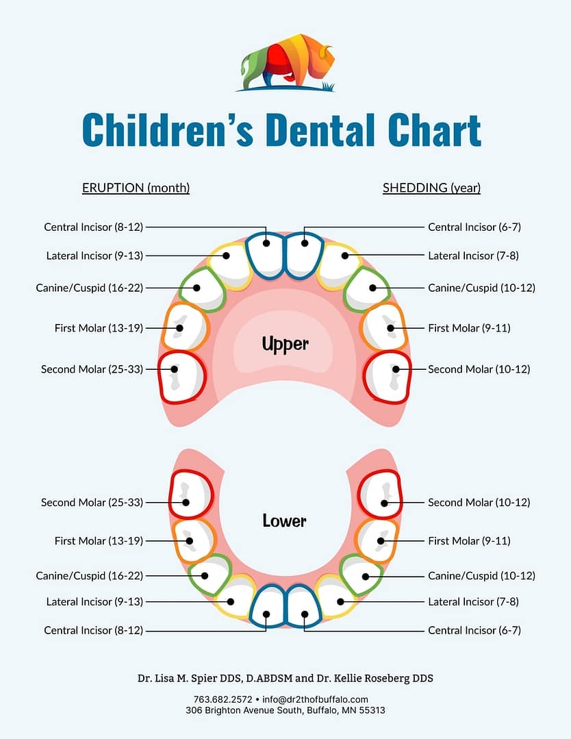 Printable Tooth Chart Numbers