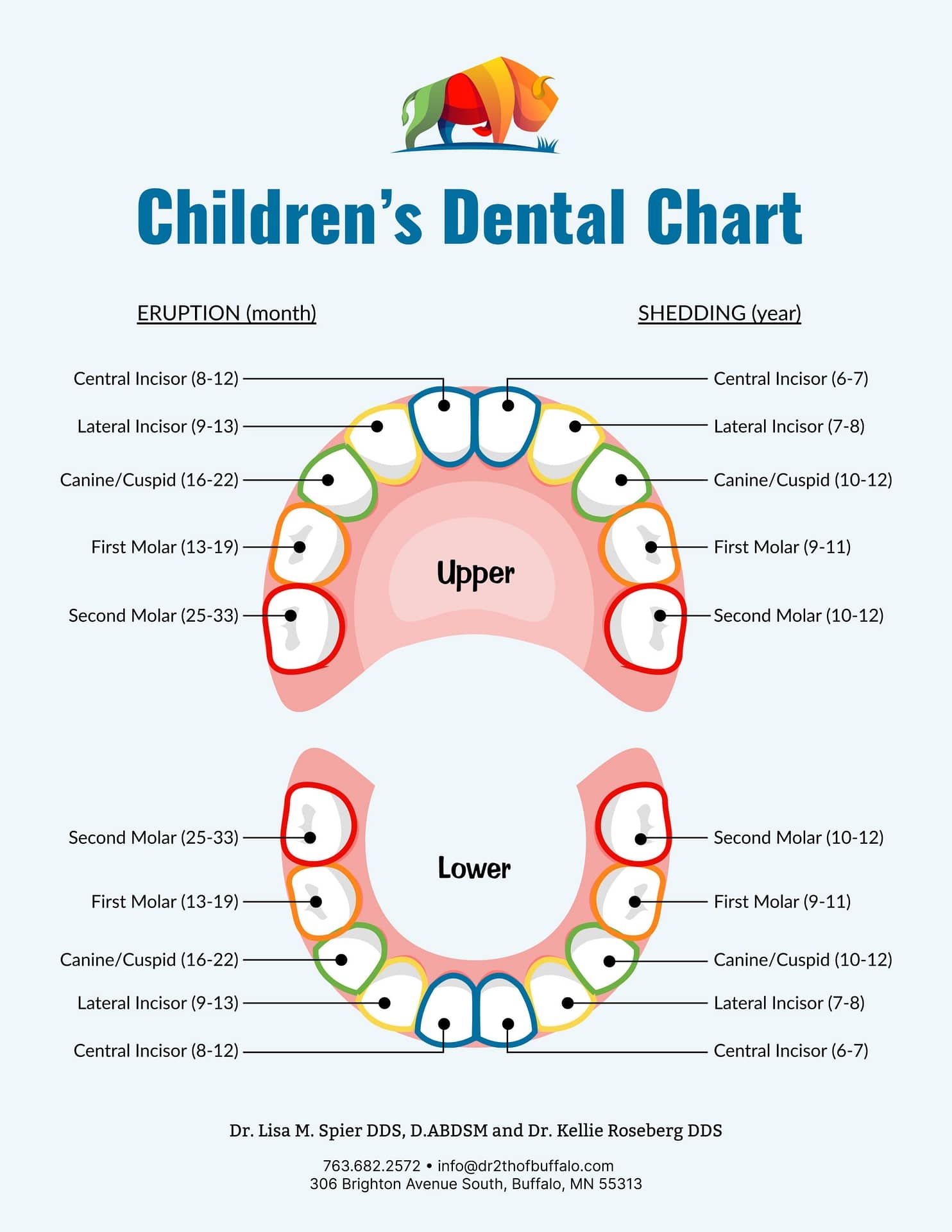 Tooth Number Chart Printable