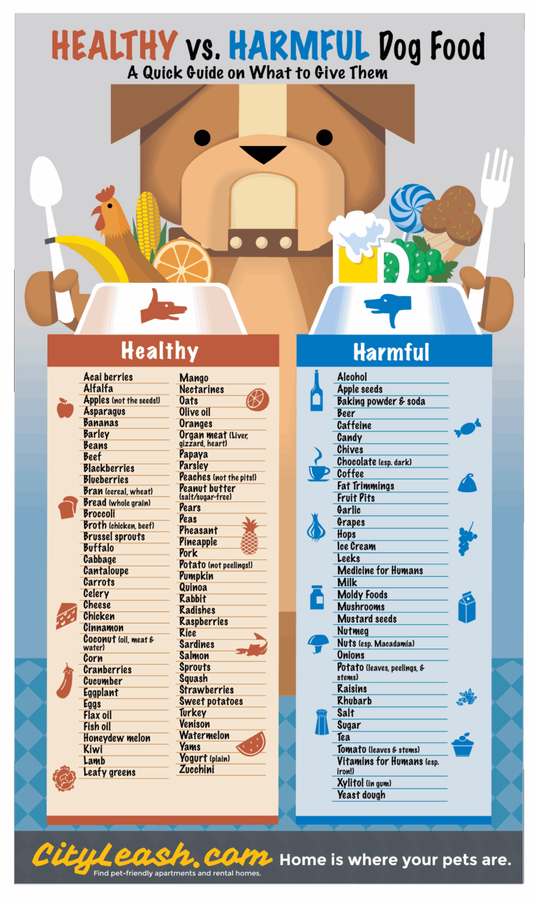 Dog Food Cheat Sheet Dog Food Chart Printable Safe