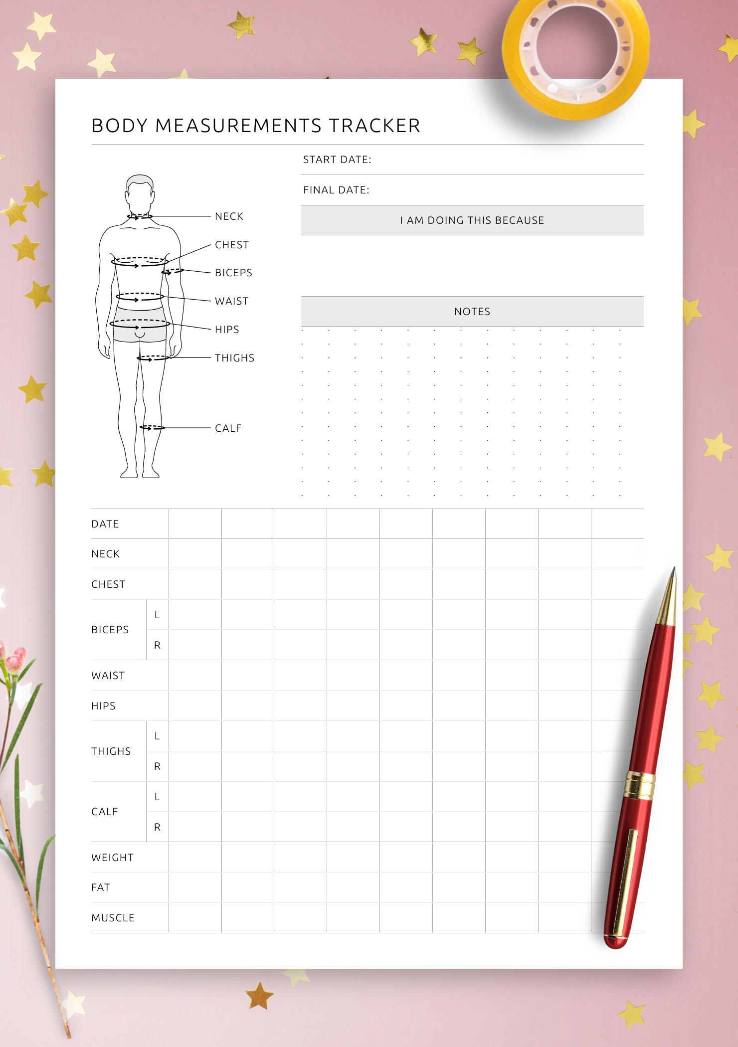 Free Printable Body Measurement Chart