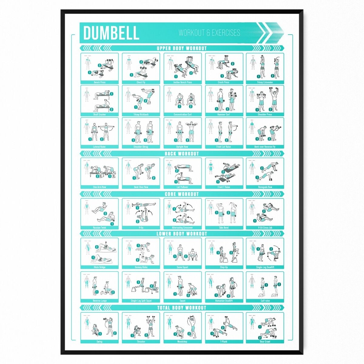 Dumbbell Workout Chart Fitness Training Chart Exercise Poster Print A5 A1
