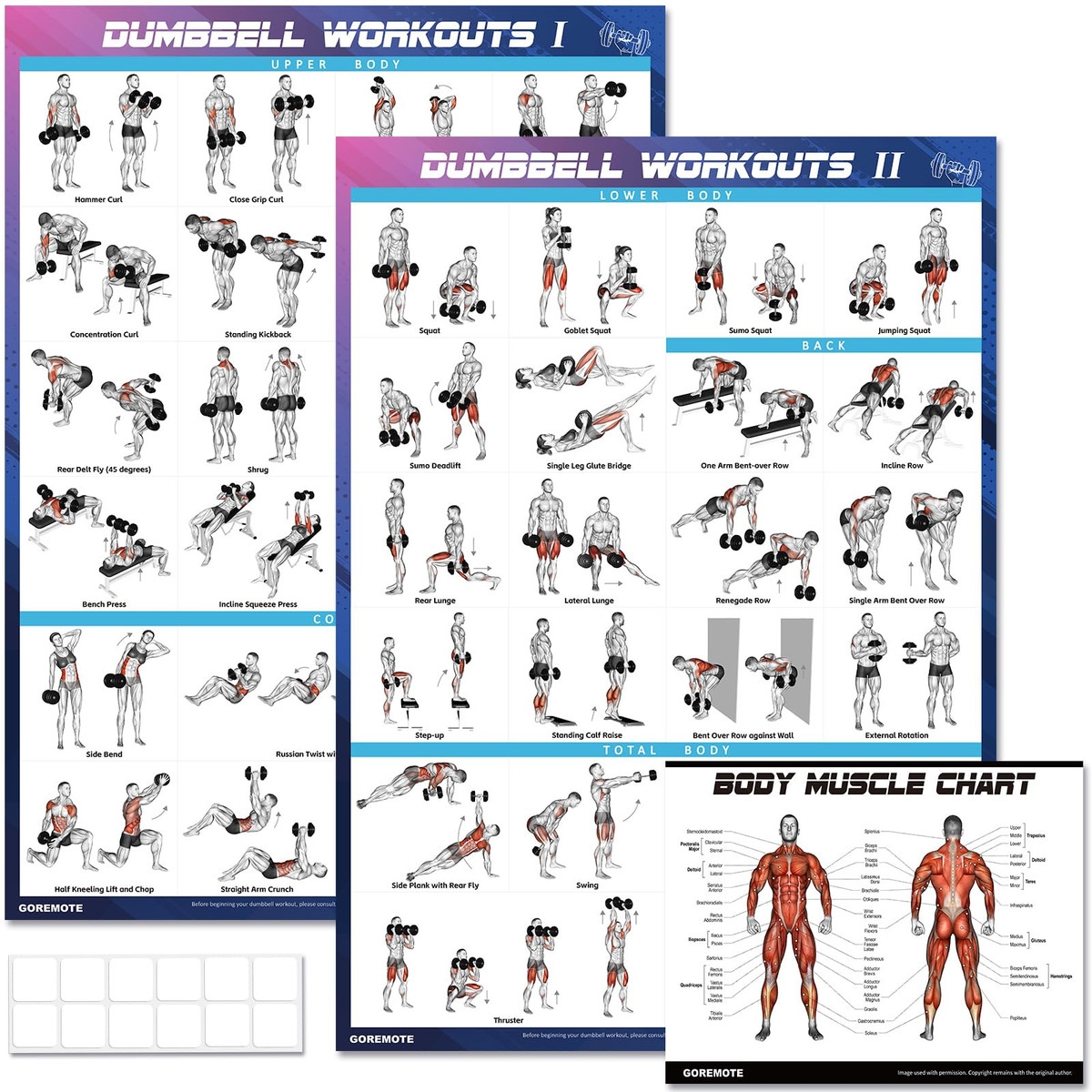 Free Dumbbell Workout Chart Printable