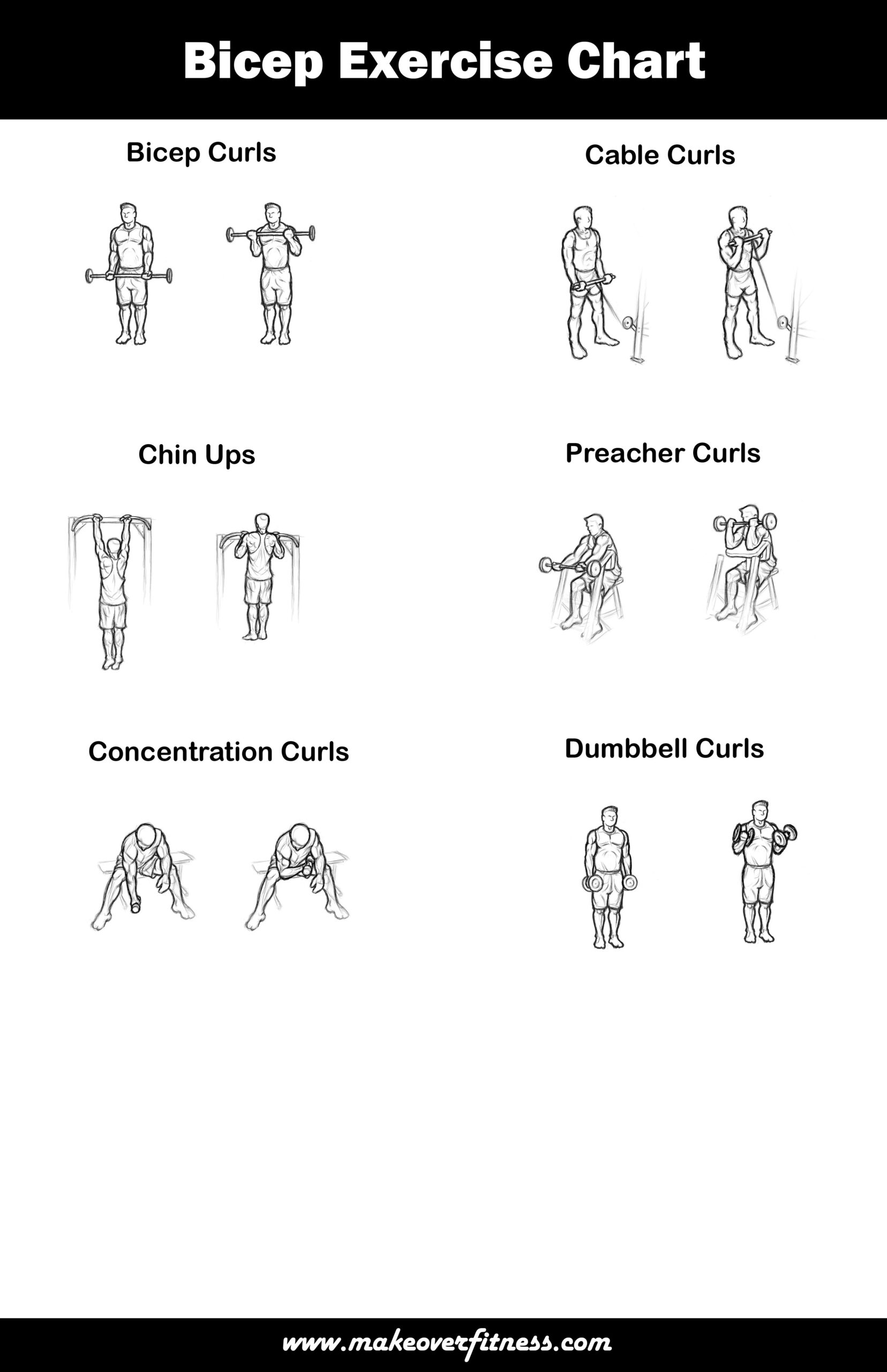 Printable Exercise Charts