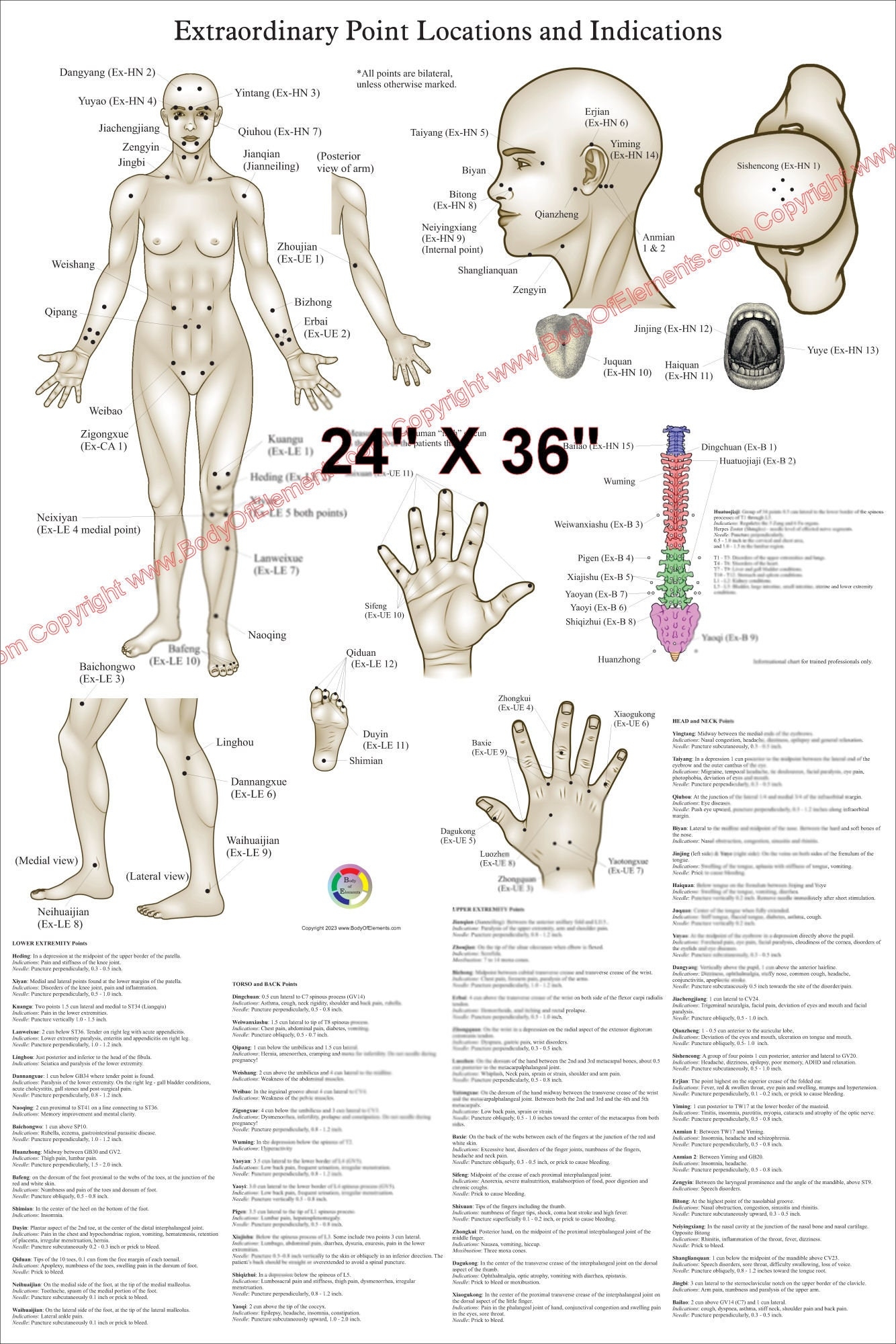 Extraordinary Acupuncture Points Locations And Indications Poster TCM Chart Paper Or Laminated 18