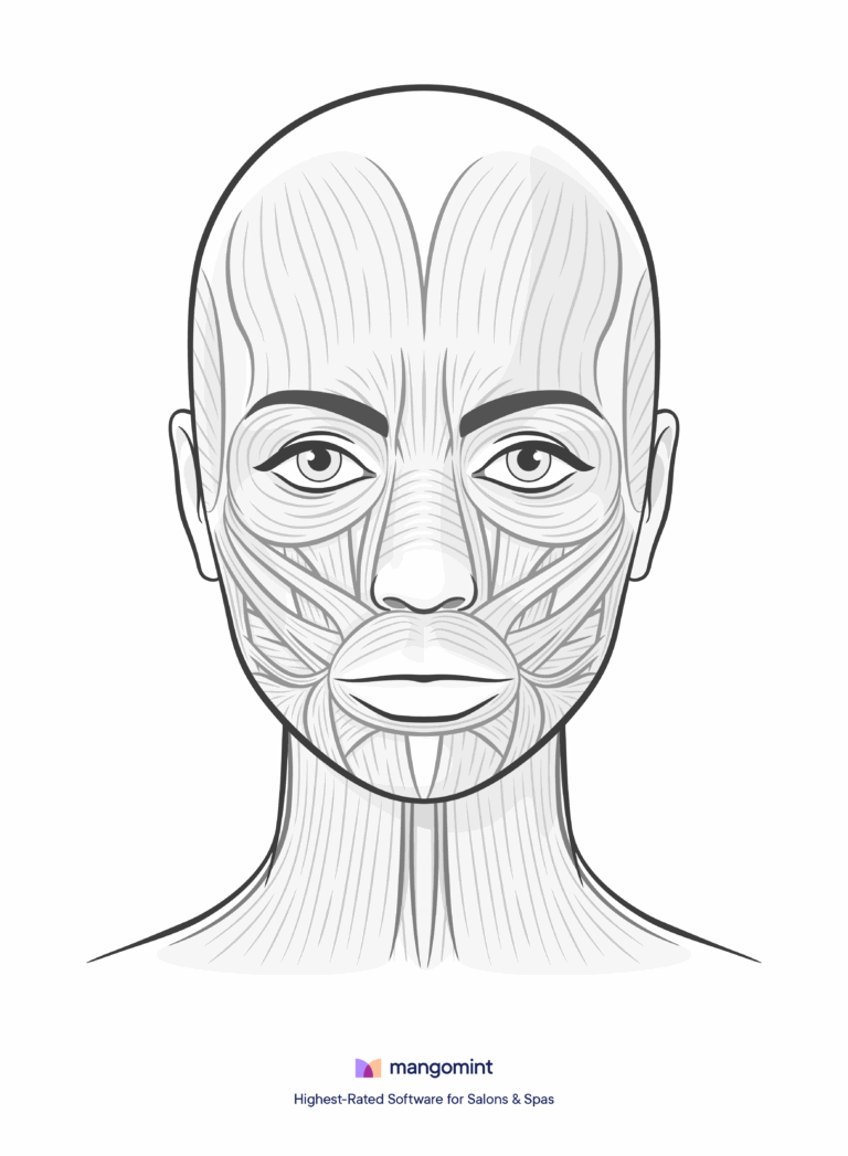 Face Charts Templates For Spas Salons And Tattoo Shops