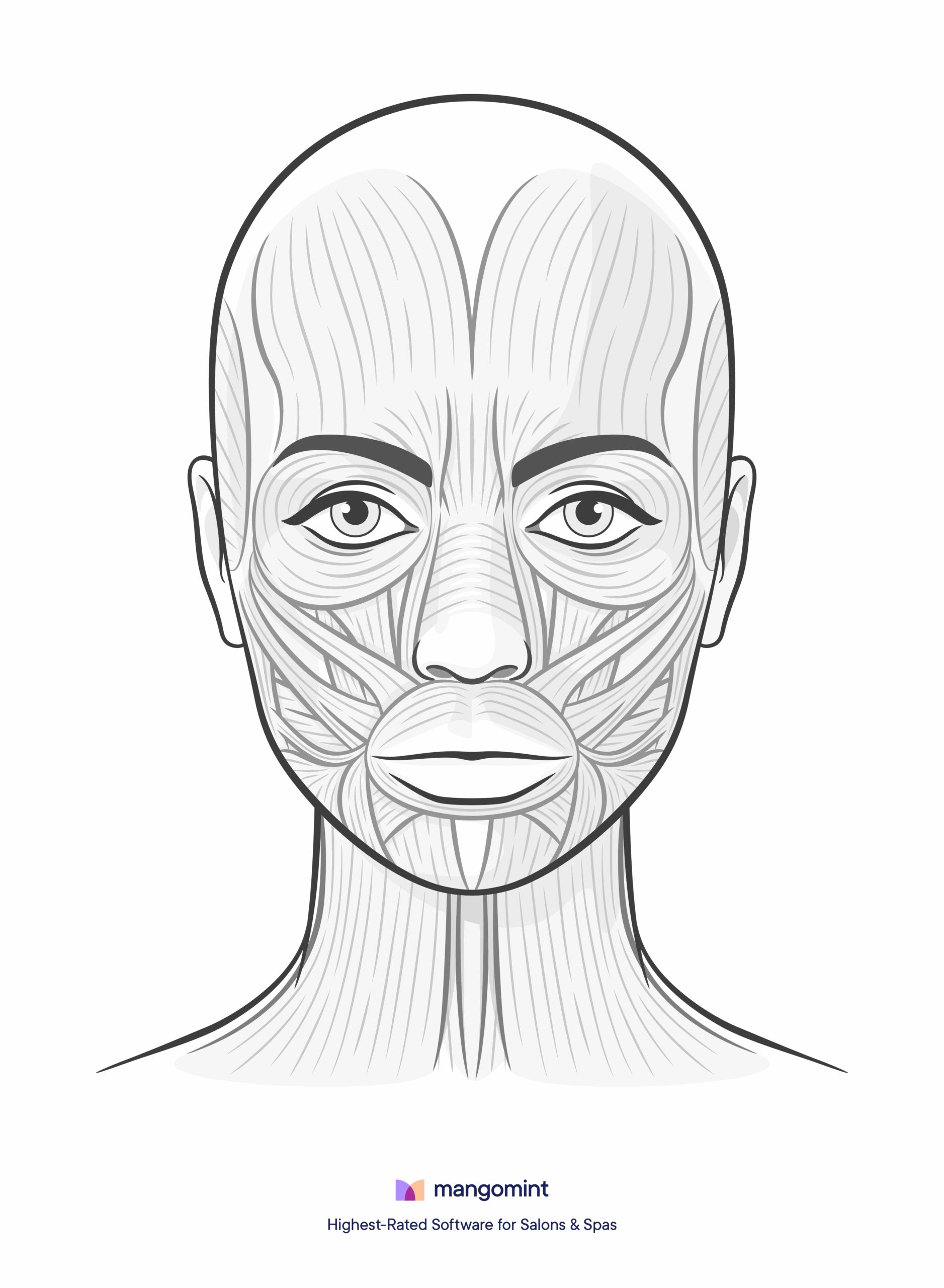 Face Charts Templates For Spas Salons And Tattoo Shops 