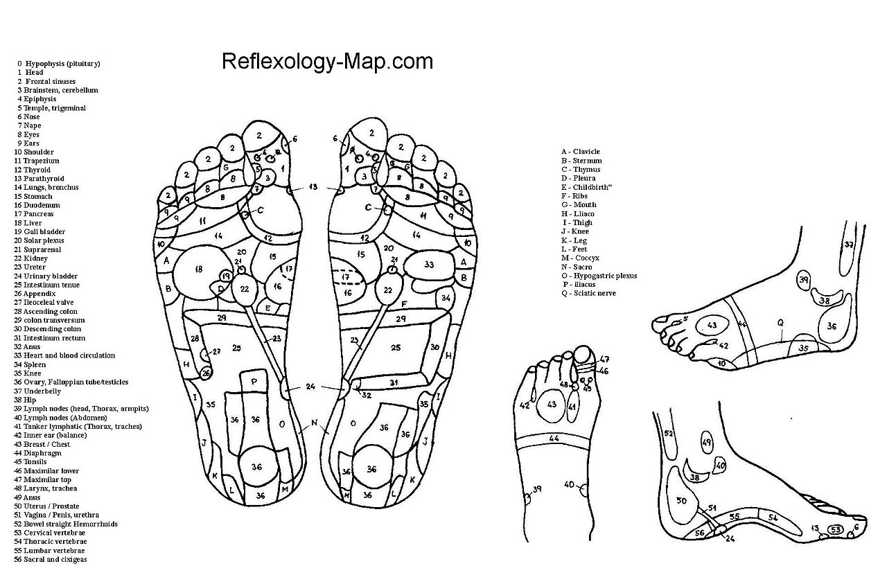 File Foot Reflexology Chart jpg Wikimedia Commons