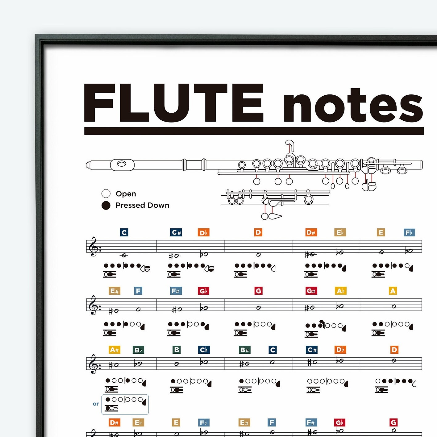 Flute Chart Transverse Flute Printable Poster Transverse Flute Notes Poster Learn Flute Flute Theory Poster Brass Instruments Etsy UK Flute Chart Transverse Flute Printable Poster Transverse Flute Notes Poster Learn Flute Flute Theory Poster Brass Instruments Etsy UK