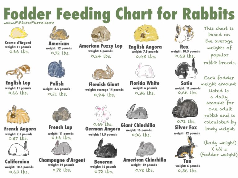 Fodder Feeding Chart For Rabbits PRINTABLE Fr hlingskabine Micro Farm
