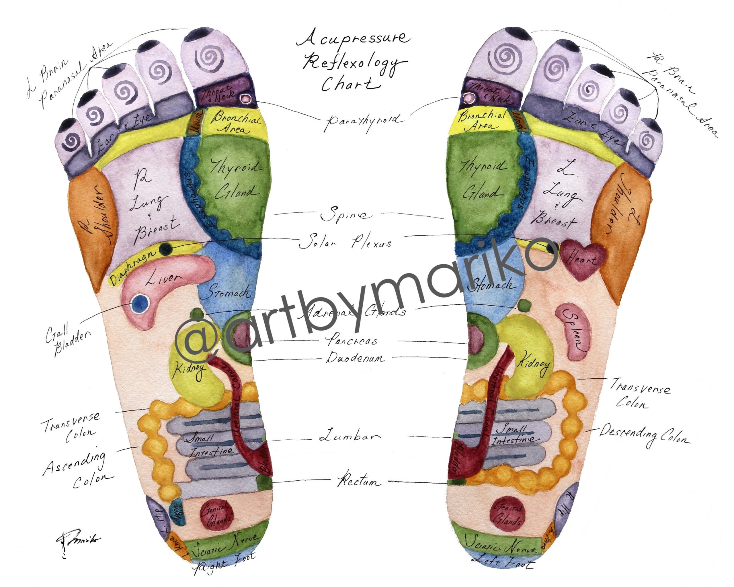 Foot Reflexology Chart Acupressure Chart Acupuncture Print Reflexology Map Massage Therapist Gift 8x10 Print 11x14 Print