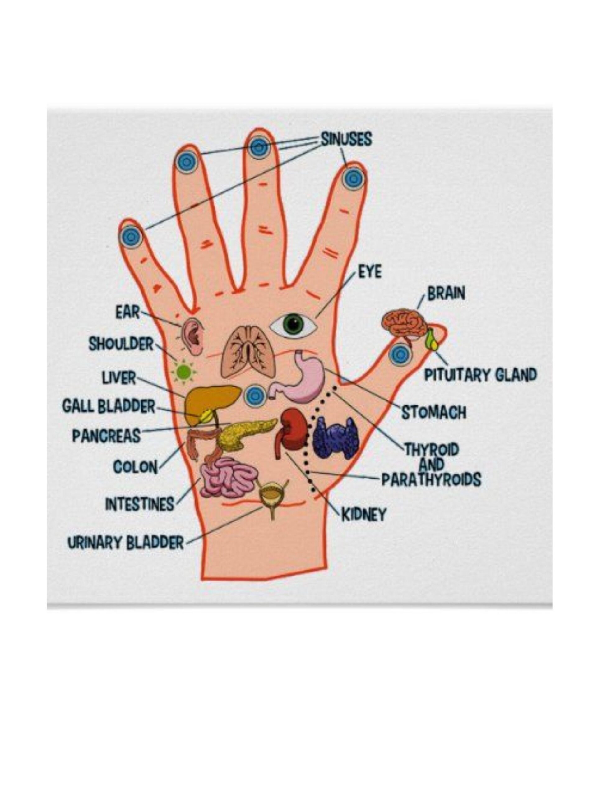 Hand Reflexology Chart Printable