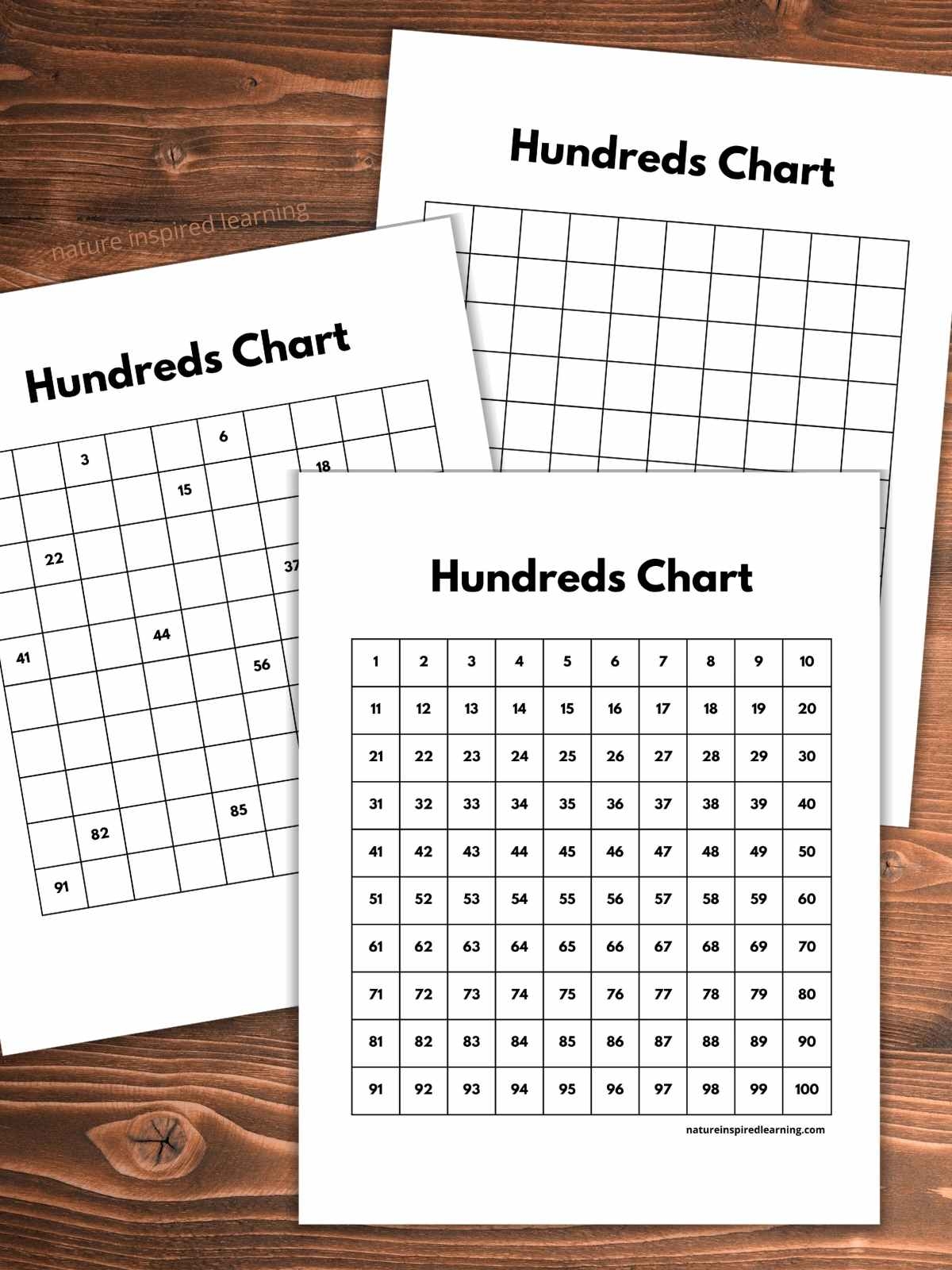 Blank Hundreds Chart Printable