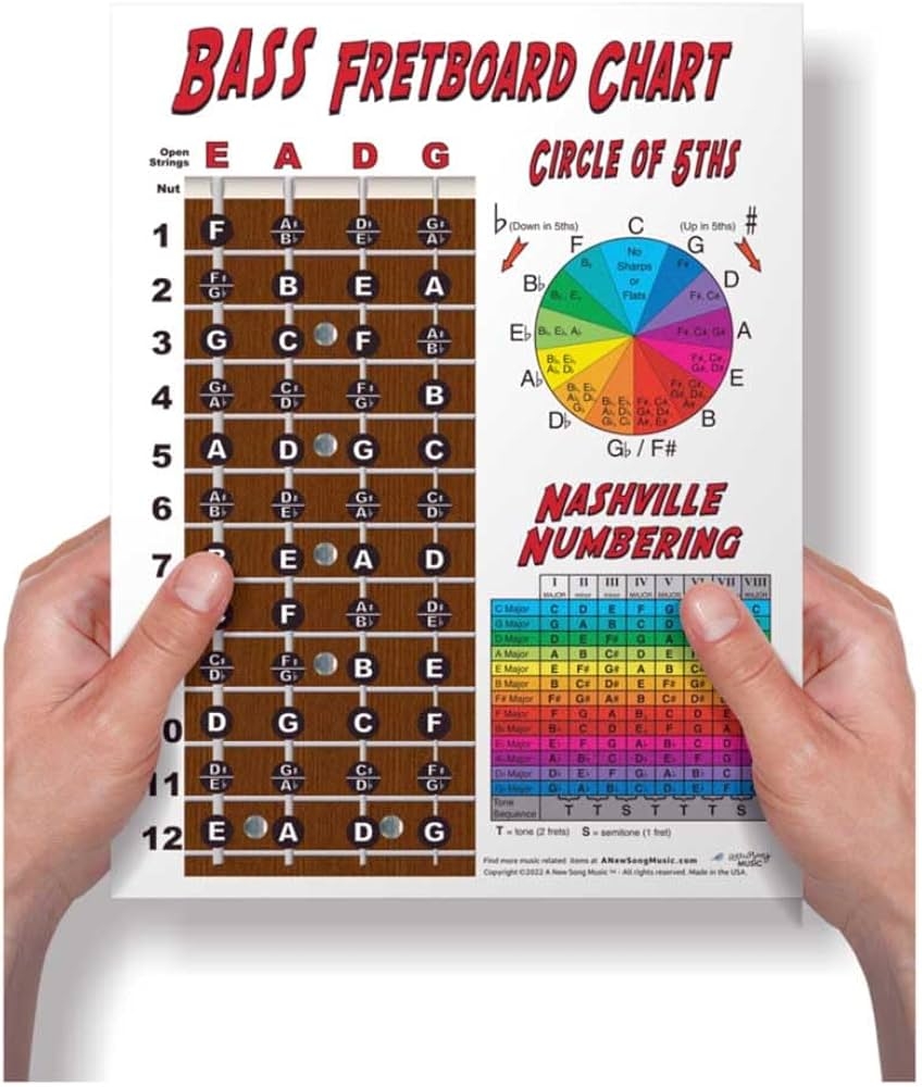 Laminated 4 String Bass Fretboard Notes Chart Nashville Number System U0026 Circle Of 5ths Easy Instructional Poster For Beginner For Notebook A New Song Music 8 5 X 11 White Amazon ca 