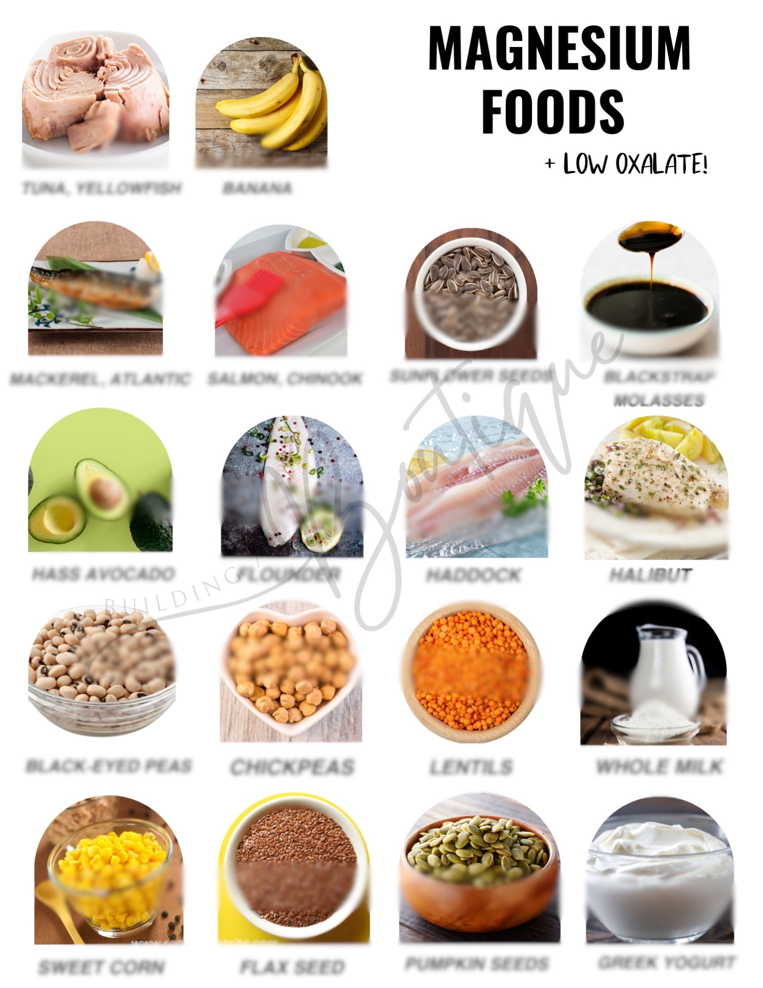 Magnesium Food Guide Printable Grocery List Digital Nutrition Guide Nutrition Poster Healthy Food List Digital Download High Magnesium Foods Etsy