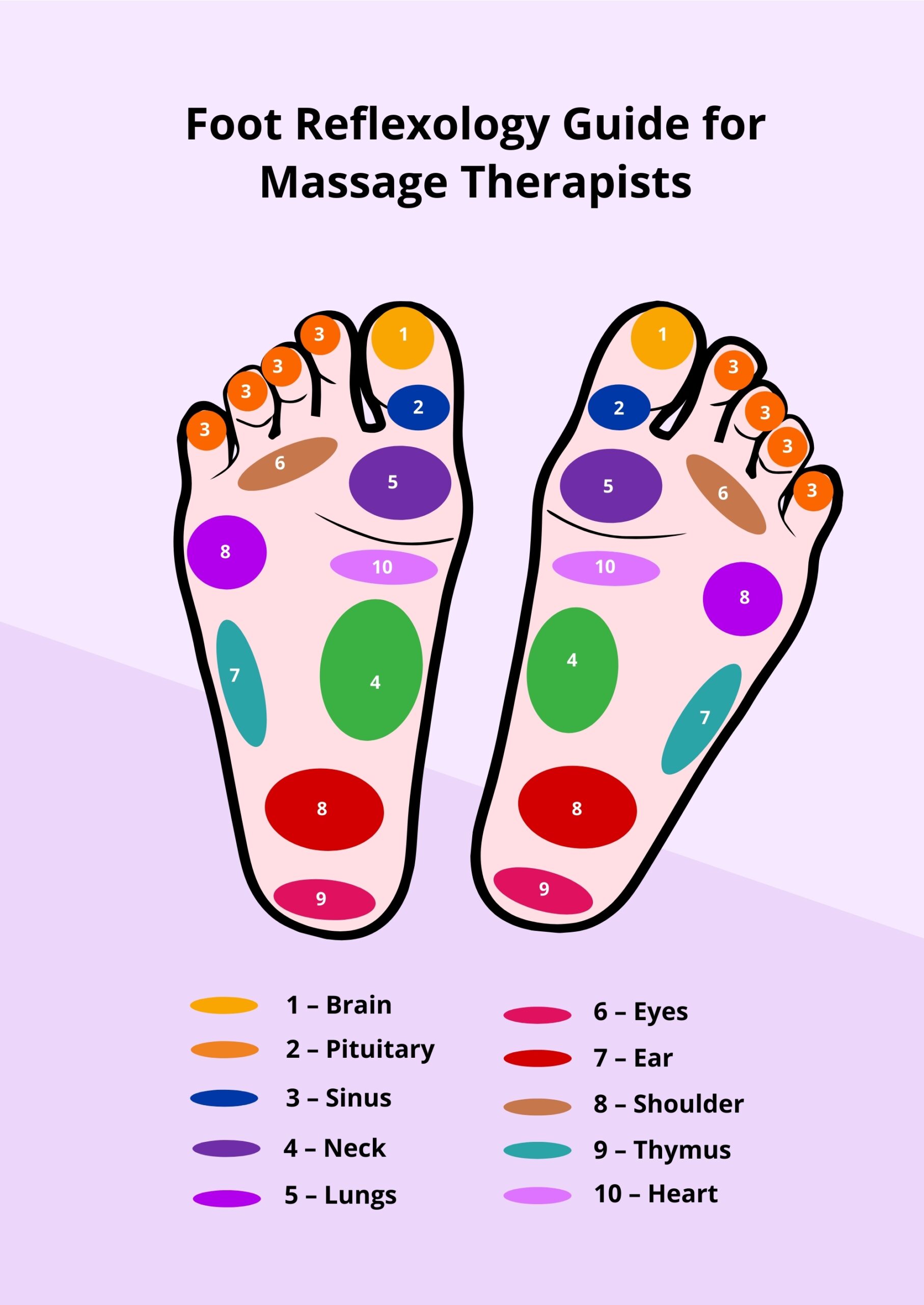 Foot Reflexology Chart Printable Foot Reflexology Chart Printable