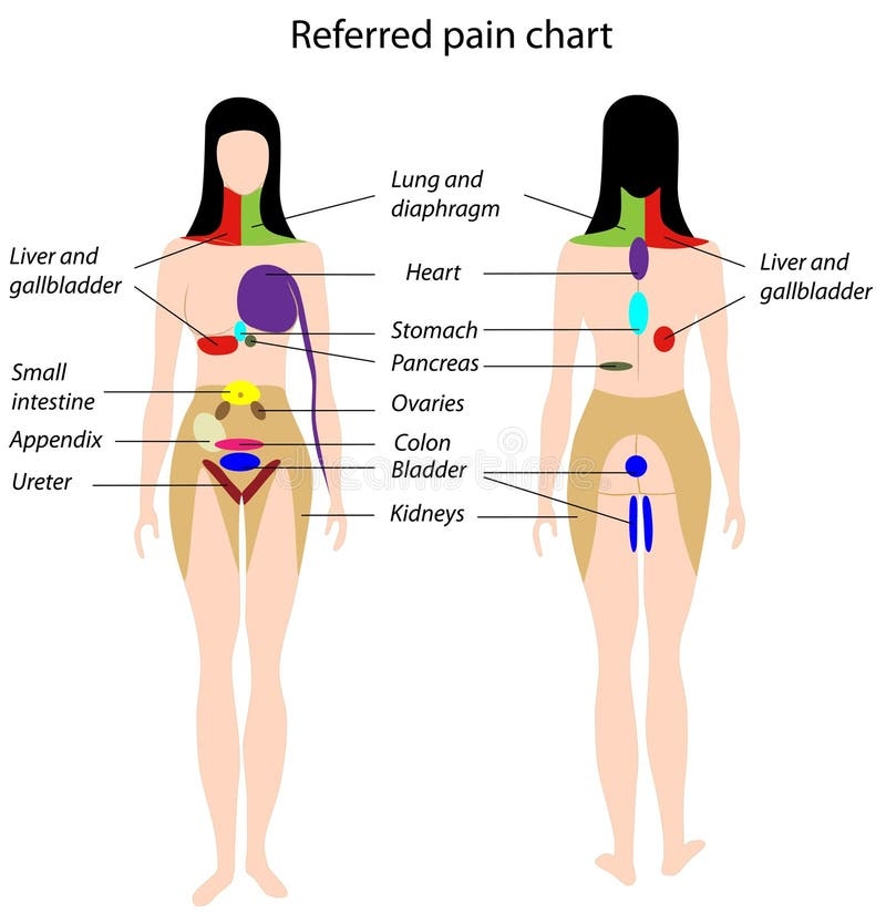 Pain Chart Stock Illustrations 2 901 Pain Chart Stock Illustrations Vectors U0026 Clipart Dreamstime