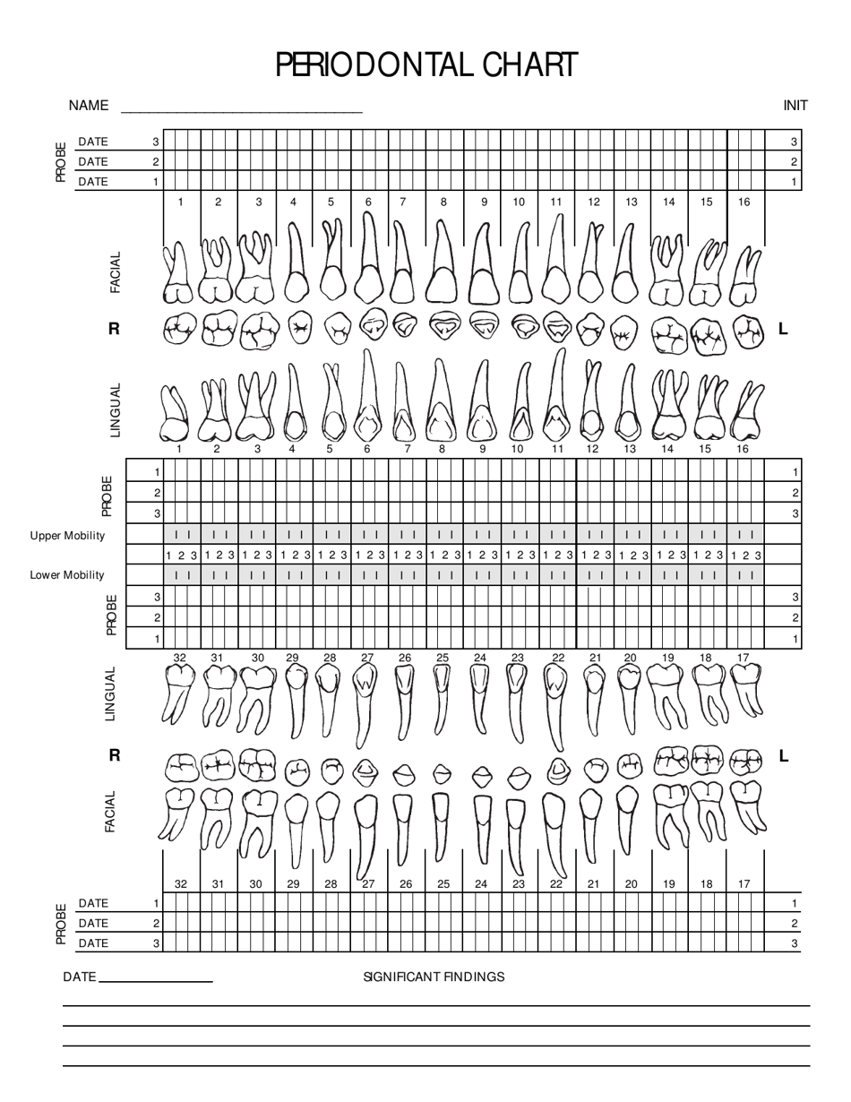 Printable Dental Charting Template Printable Dental Charting Template