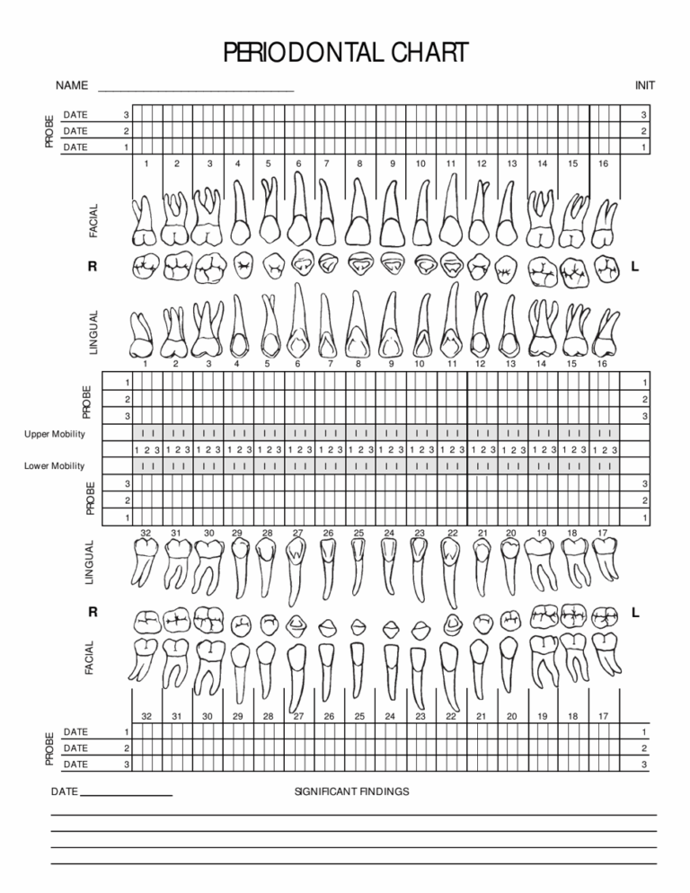 Periodontal Chart Cambridge Dental Consultants Download Printable PDF Templateroller