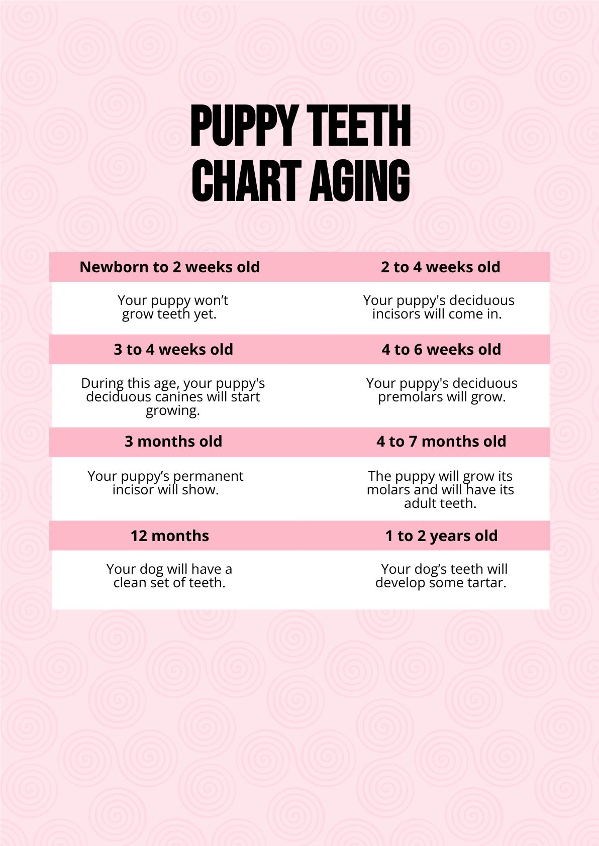 Puppy Teeth Chart Aging In PDF Download Template