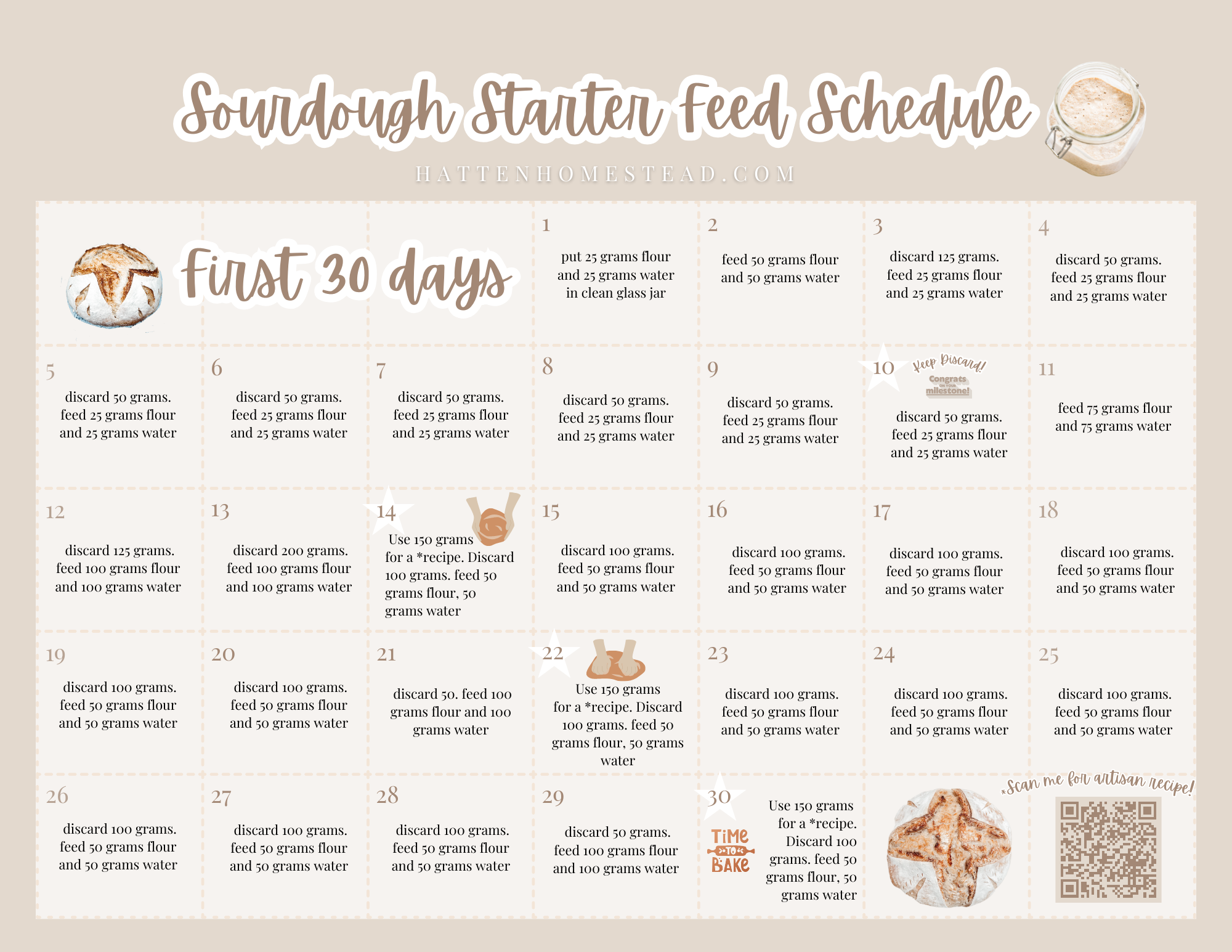 Sourdough For Dummies Glossary Included Hatten Homestead