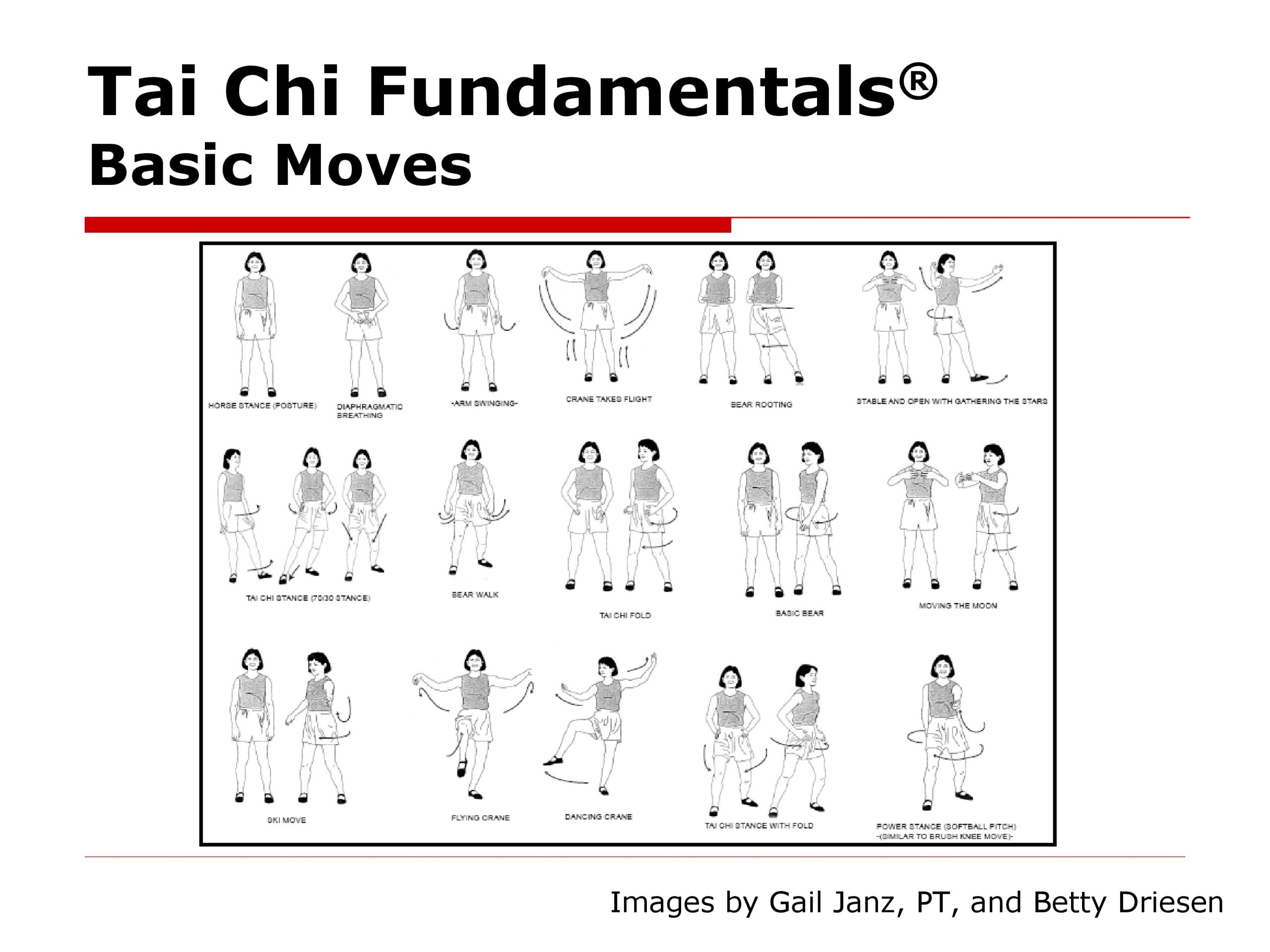 Tai Chi Fundamentals 