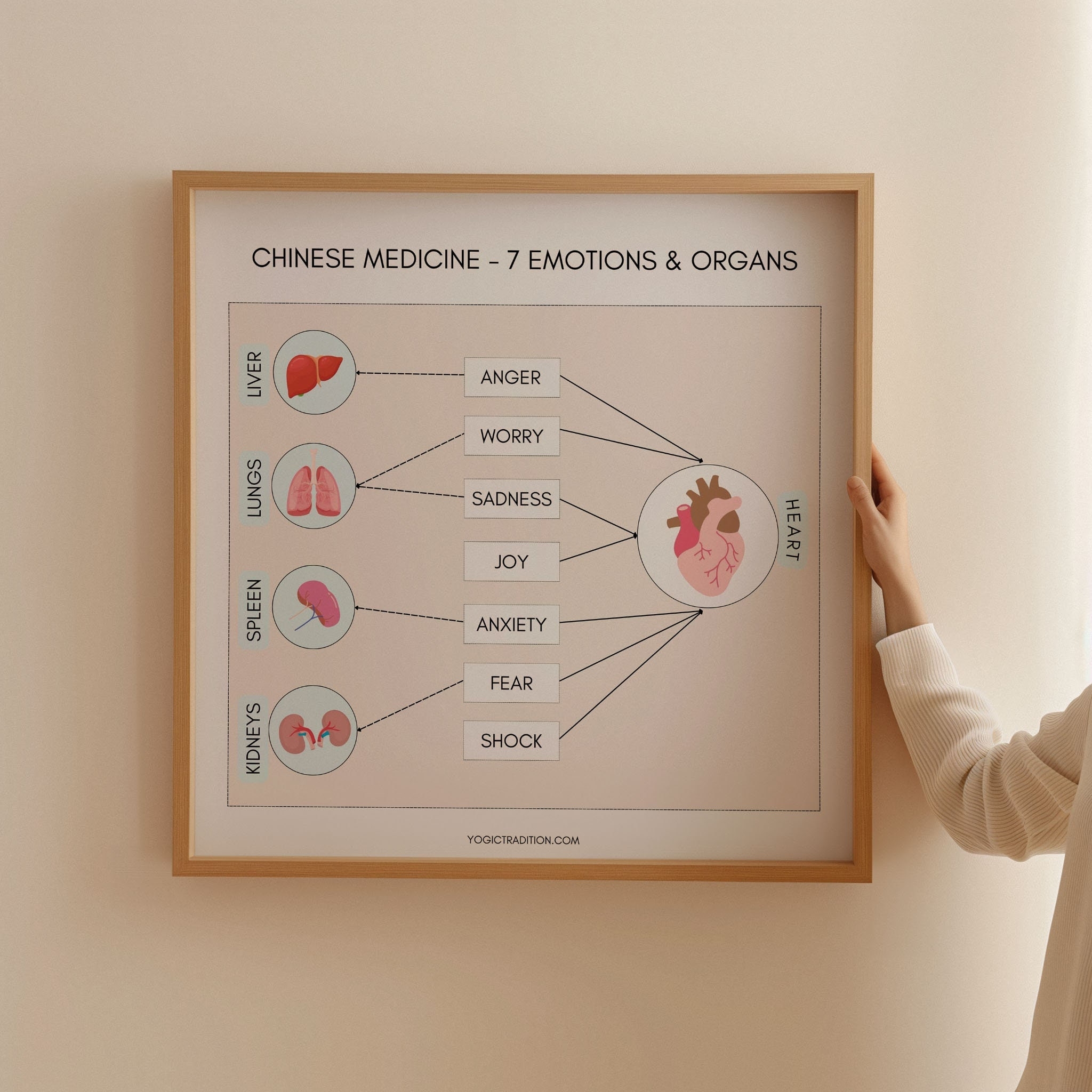 TCM 7 Emotions And Organs Poster TCM Study Guide Chinese 
