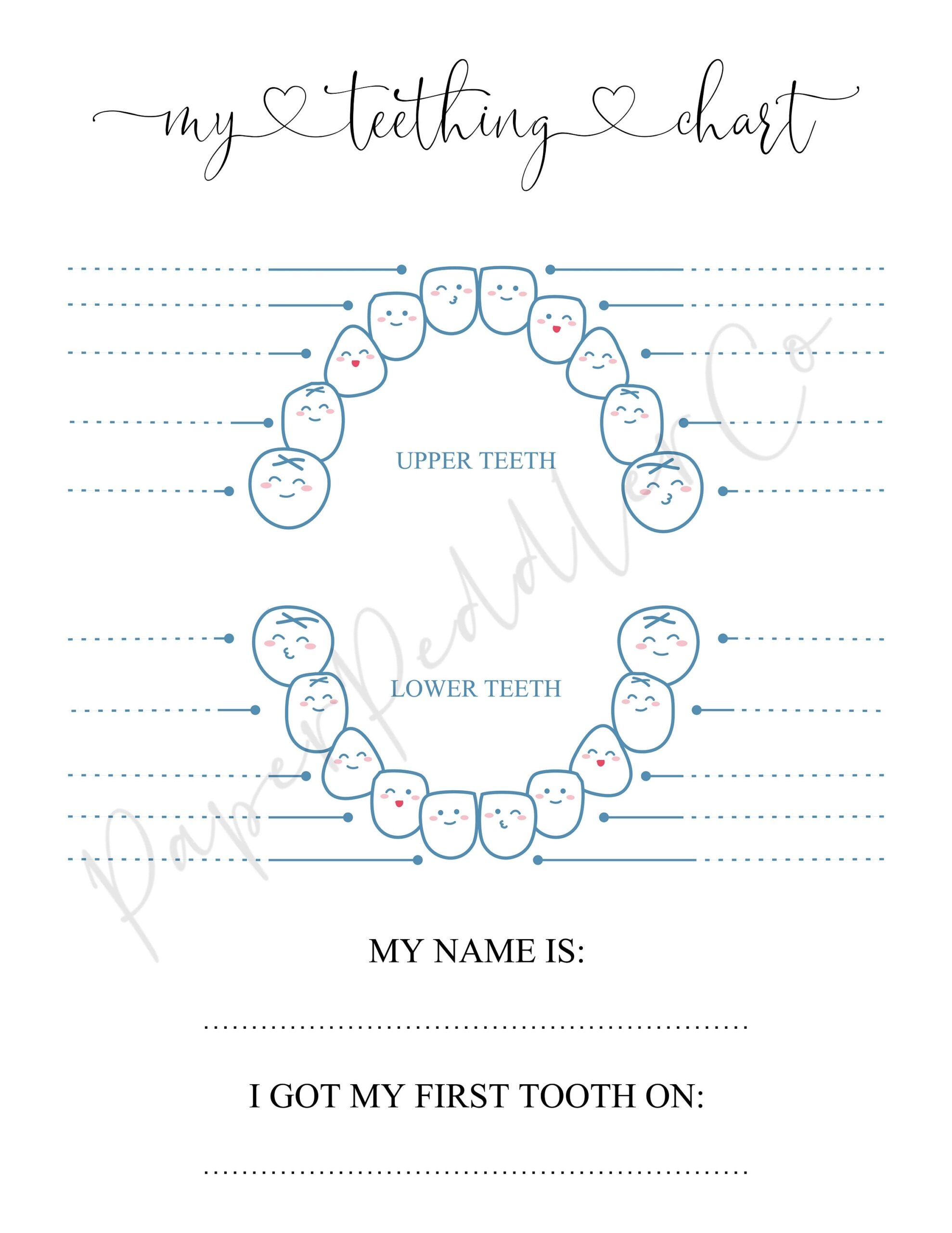 Teething Chart For Kid Baby Tooth Chart Keepsake Memento Baby Book Insert Tooth Eruption Chart My First Tooth Instant Download PDF JPG
