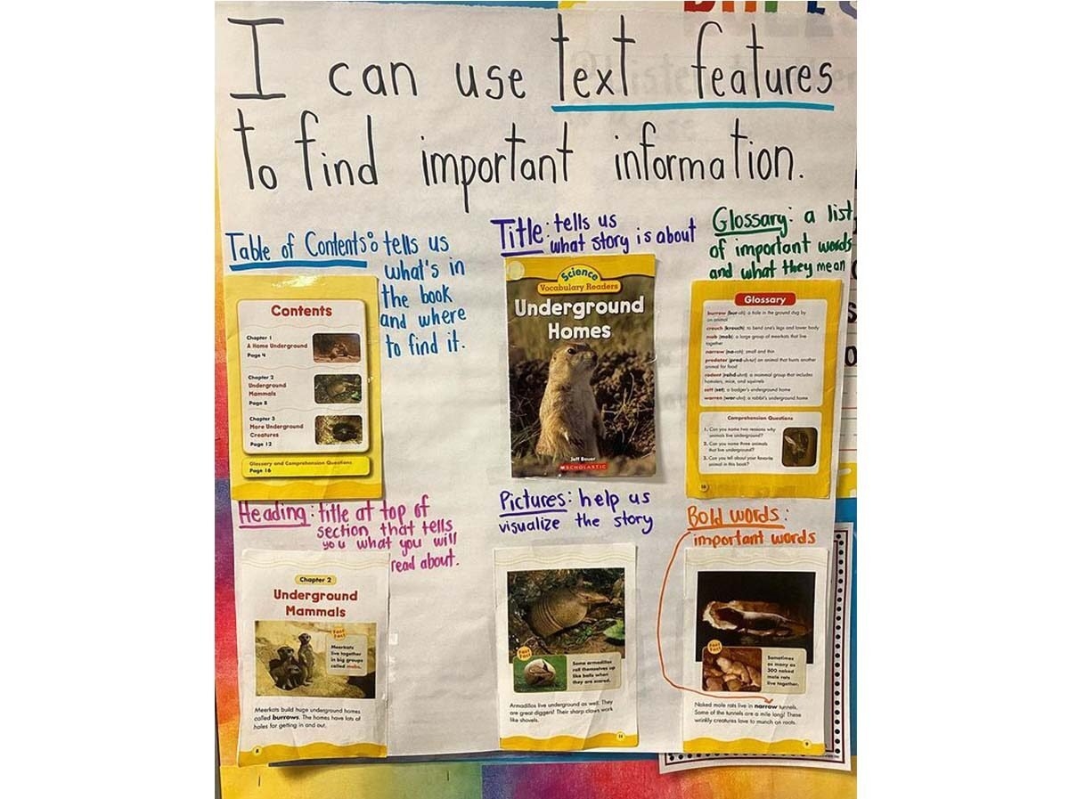 Text Features Anchor Chart Printable