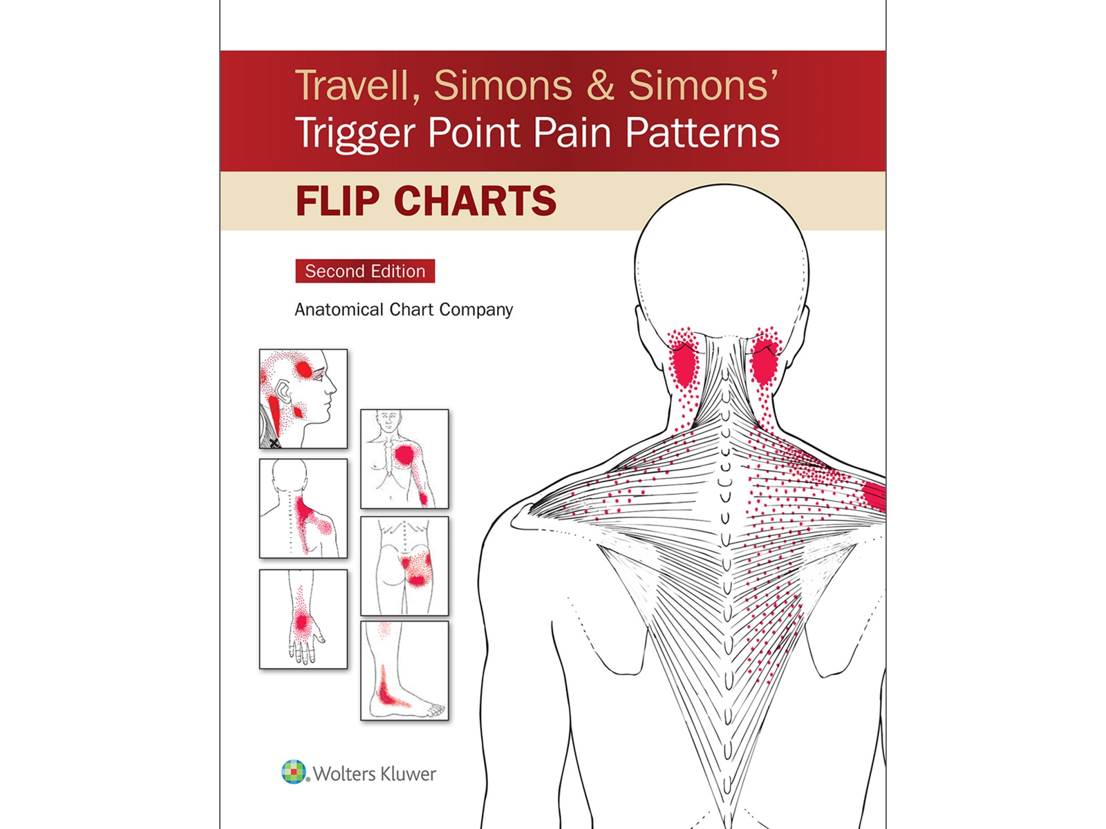 Printable Trigger Point Chart