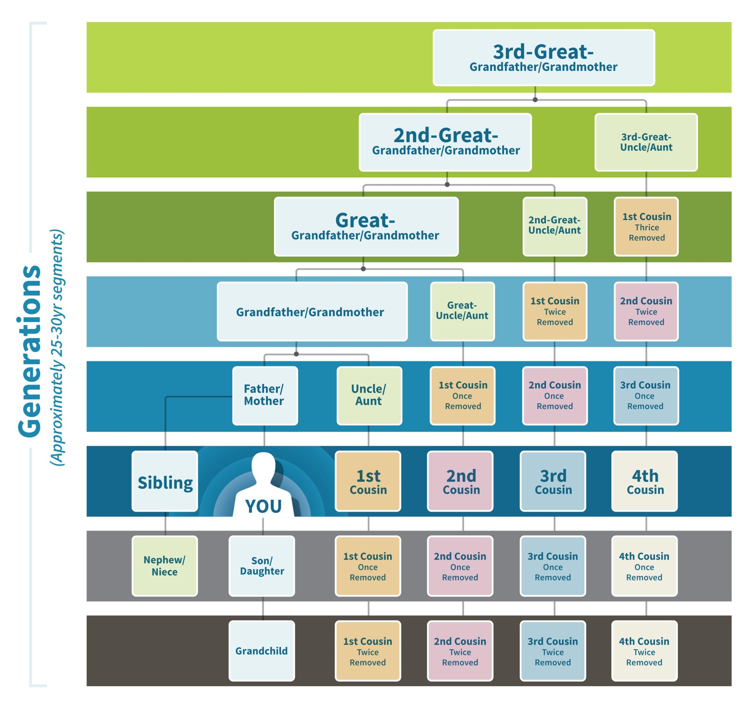 Uncover Your Ancestral Roots A Guide To Family Relationship Charts