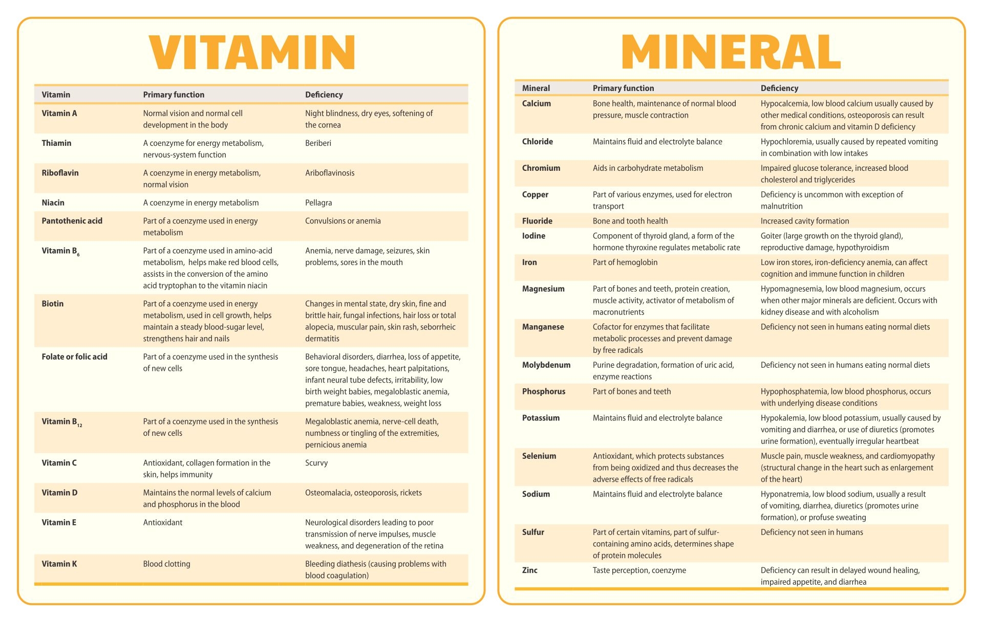 Vitamin Chart Printable