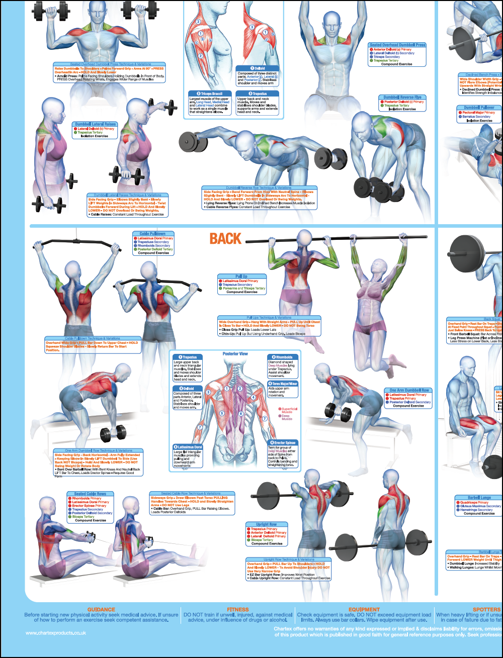 Weight Training Poster Bodybuilding Exercise Poster