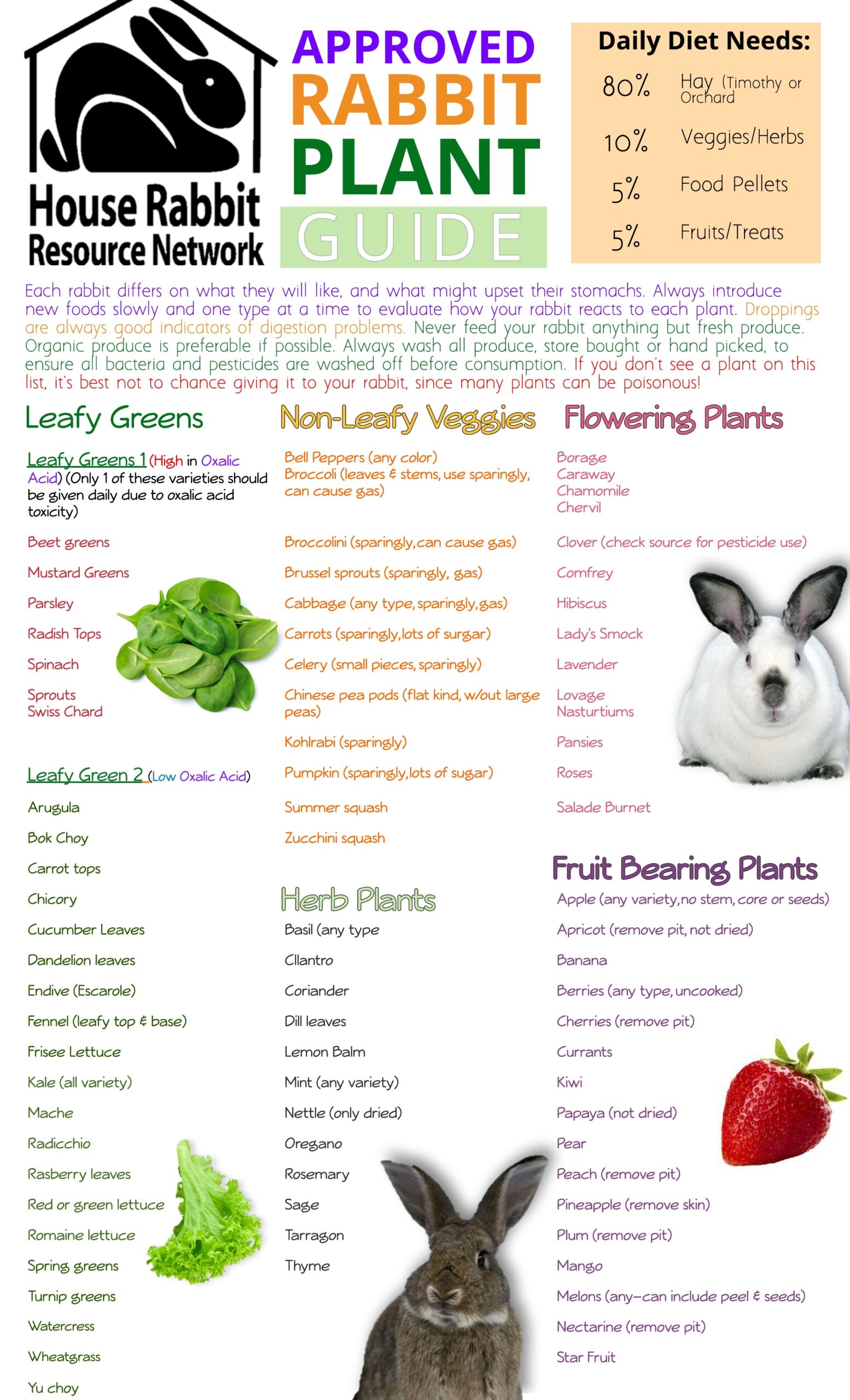 What Do Rabbits Eat Rabbit Diets House Rabbit Resource Network What Do Rabbits Eat Rabbit Diets House Rabbit Resource Network